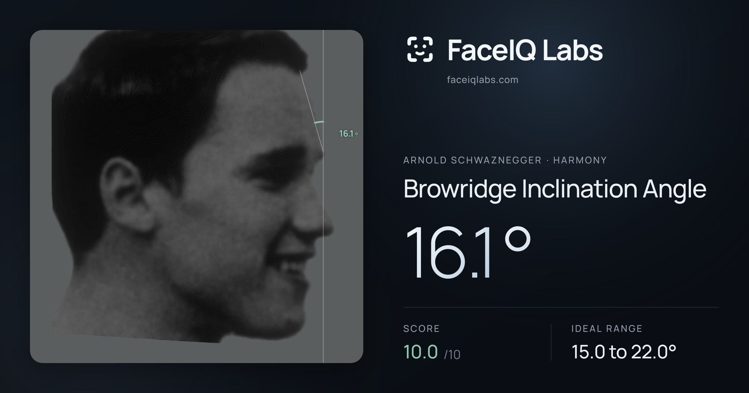 Arnold Schwaznegger Browridge Inclination Angle: 16.1°, drawn on the photo