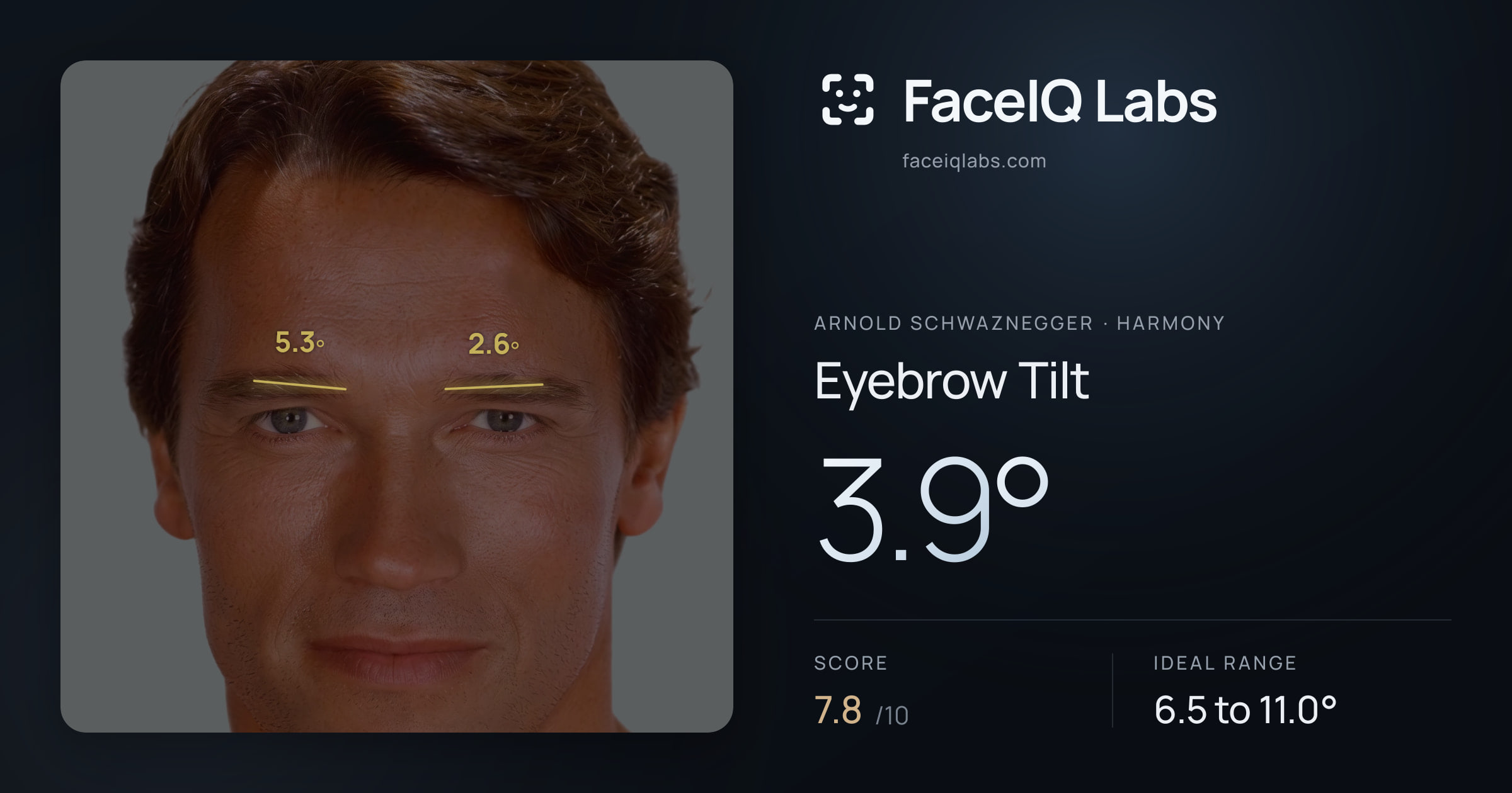 Arnold Schwaznegger Eyebrow Tilt: 3.9°, drawn on the photo