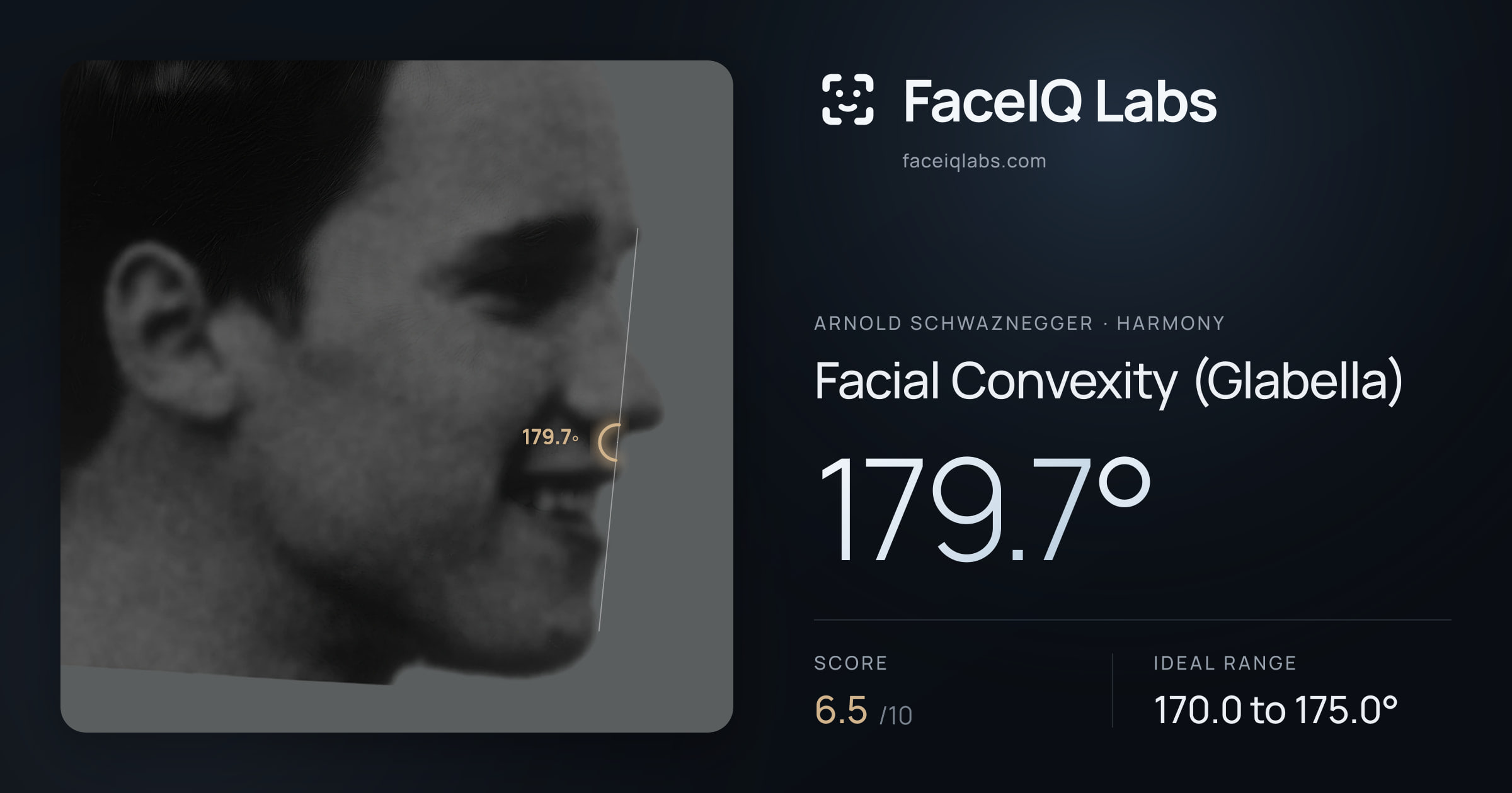 Arnold Schwaznegger Facial Convexity (Glabella): 179.7°, drawn on the photo