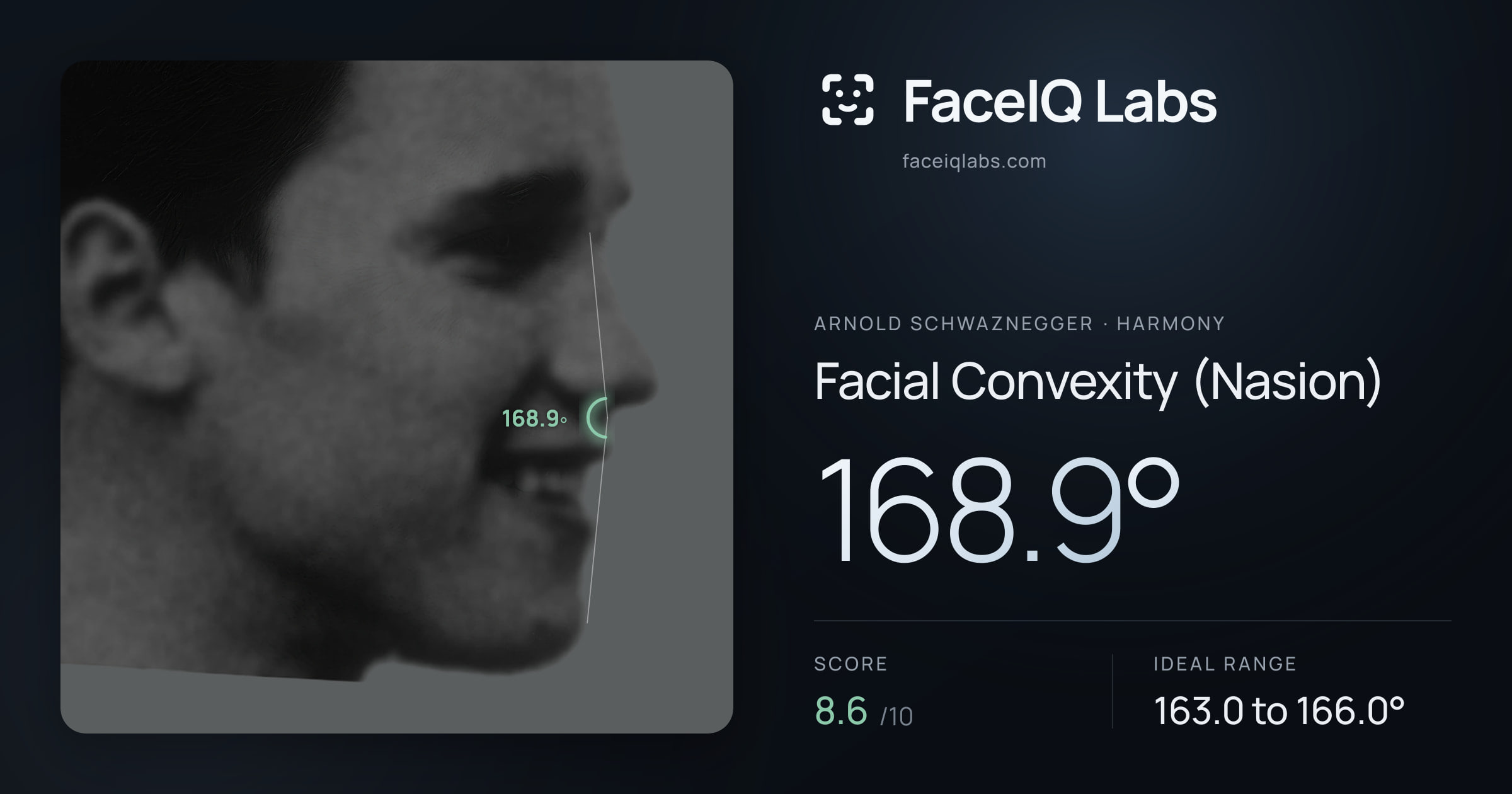Arnold Schwaznegger Facial Convexity (Nasion): 168.9°, drawn on the photo