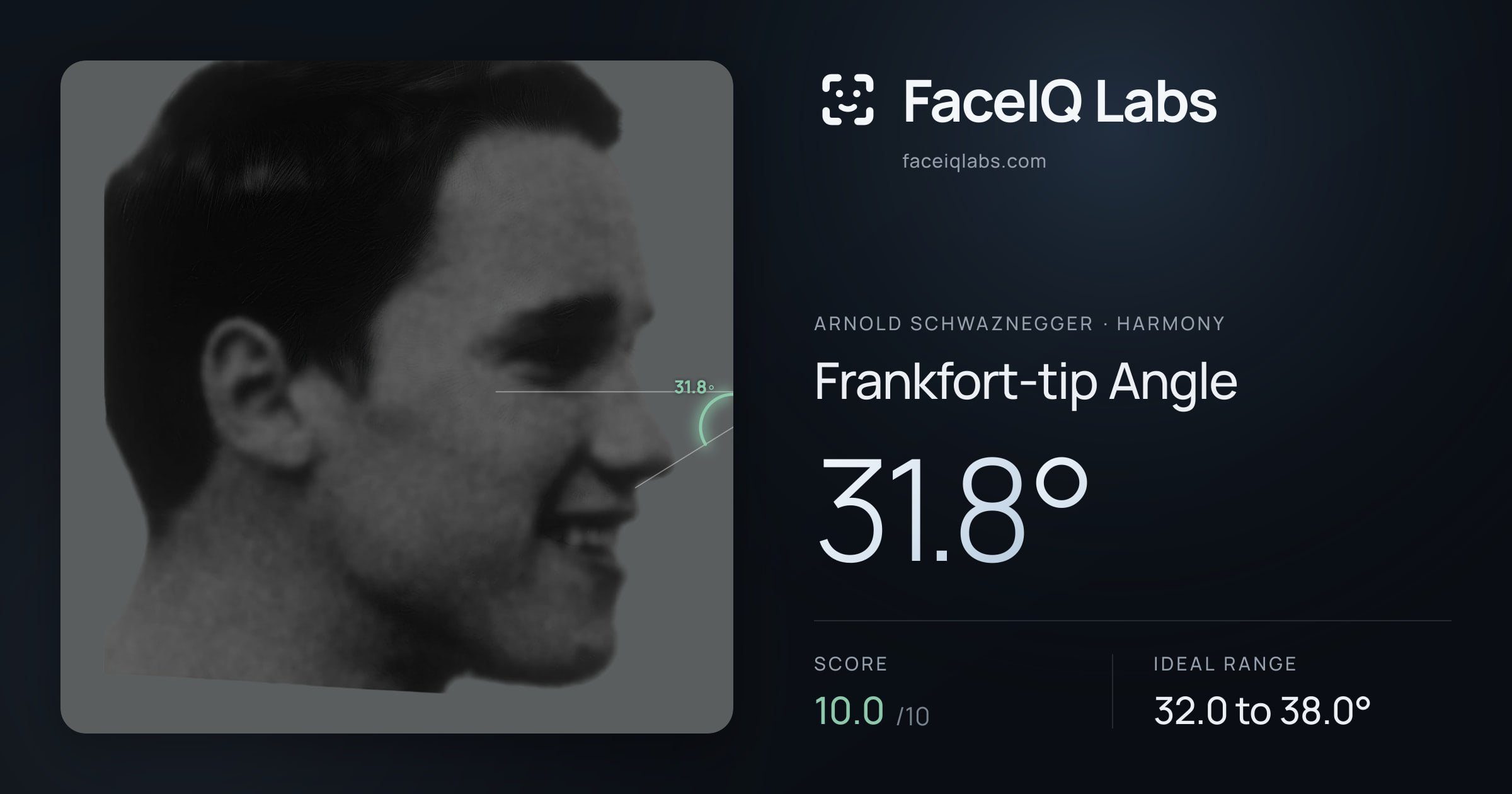 Arnold Schwaznegger Frankfort-tip Angle: 31.8°, drawn on the photo