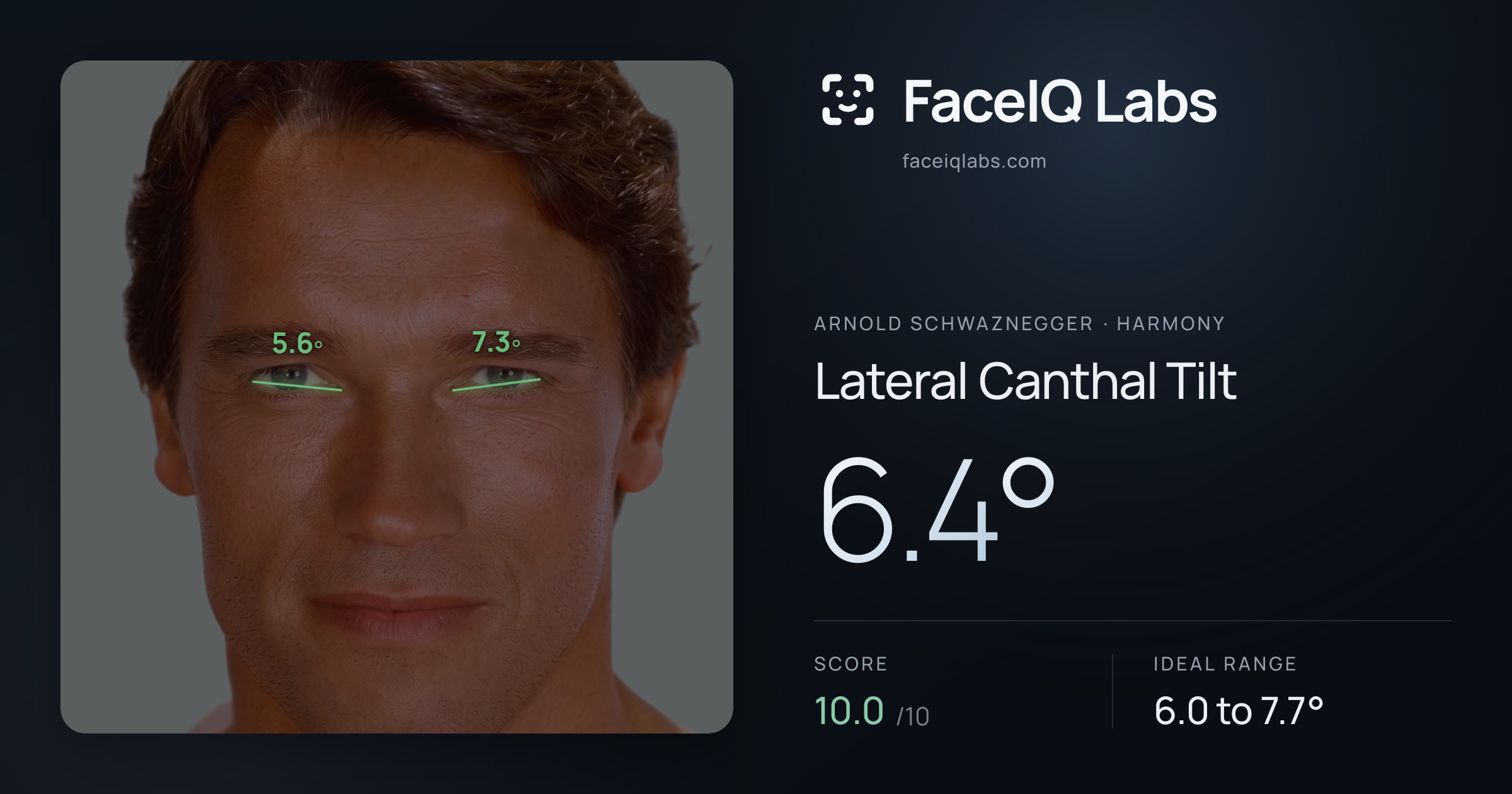 Arnold Schwaznegger Lateral Canthal Tilt: 6.4°, drawn on the photo