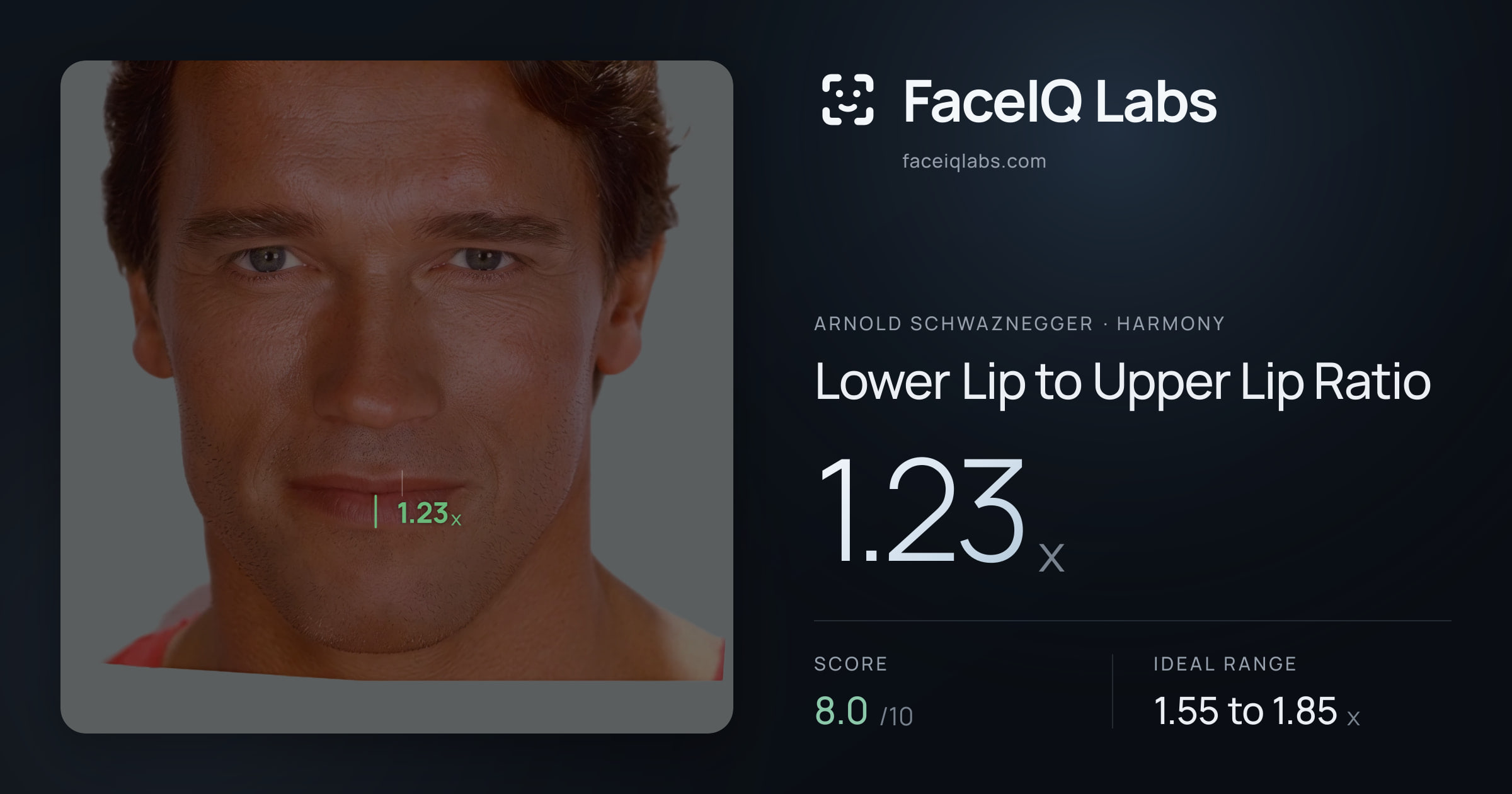 Arnold Schwaznegger Lower Lip to Upper Lip Ratio: 1.23x, drawn on the photo