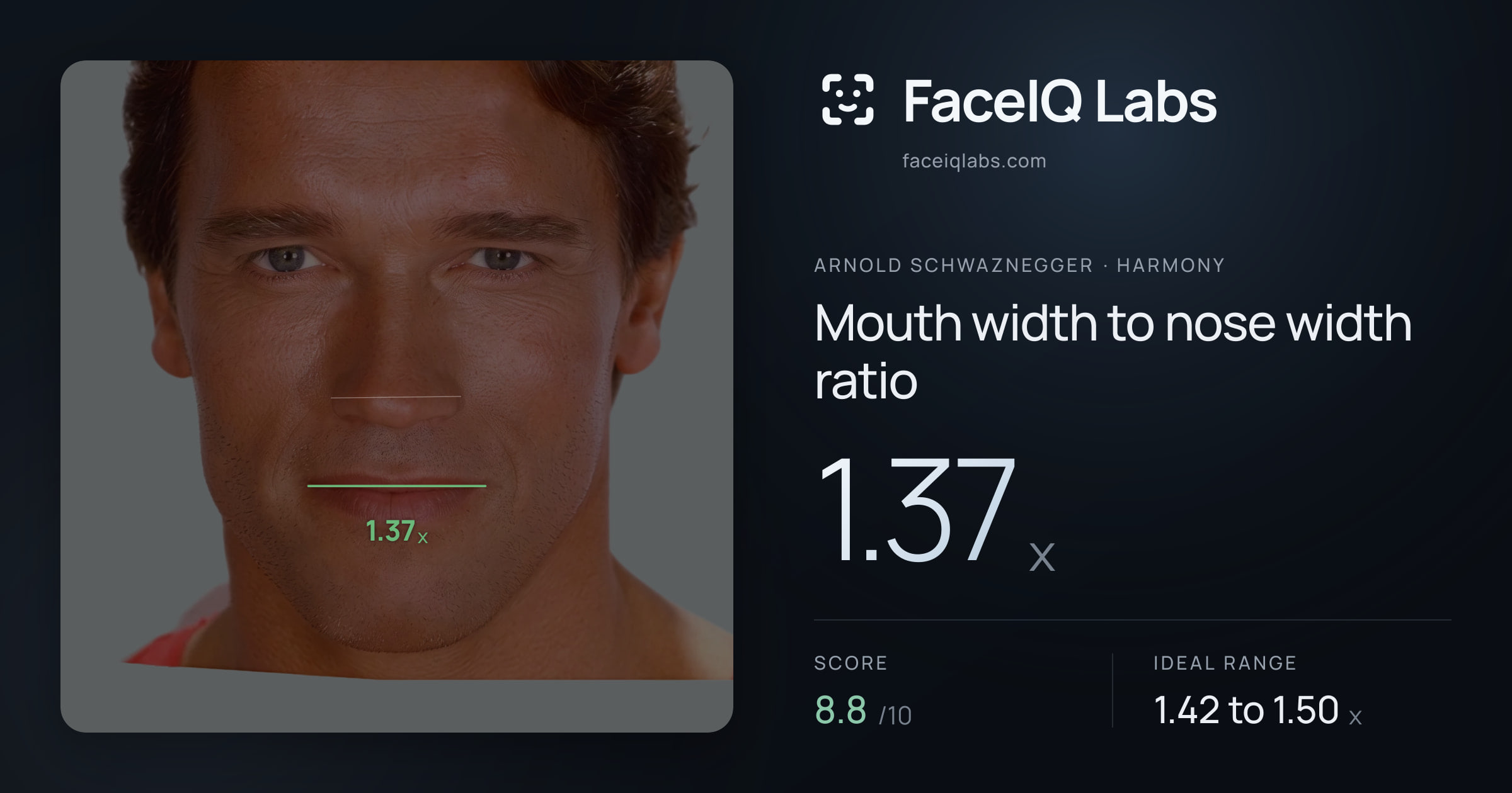 Arnold Schwaznegger Mouth width to nose width ratio: 1.37x, drawn on the photo