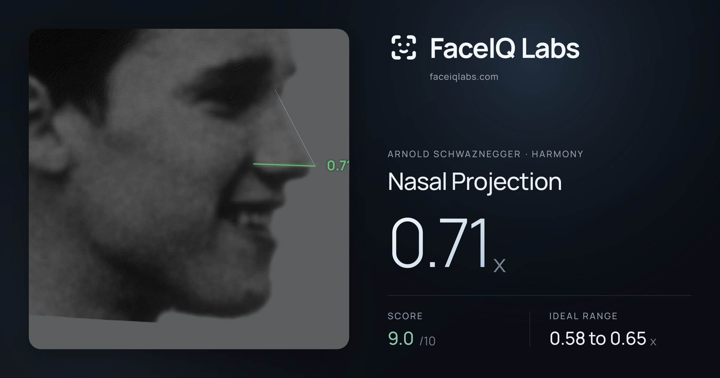 Arnold Schwaznegger Nasal Projection: 0.71x, drawn on the photo