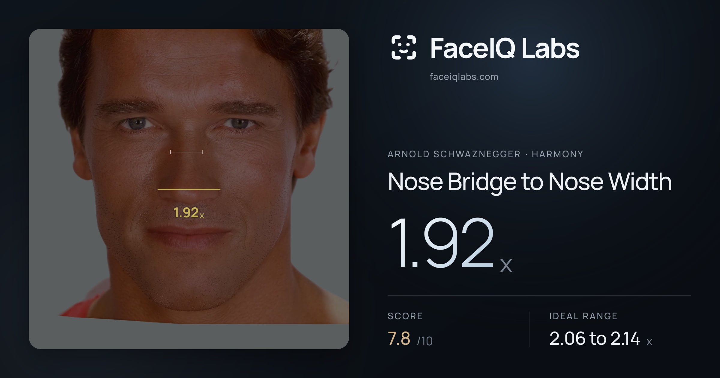 Arnold Schwaznegger Nose Bridge to Nose Width: 1.92x, drawn on the photo