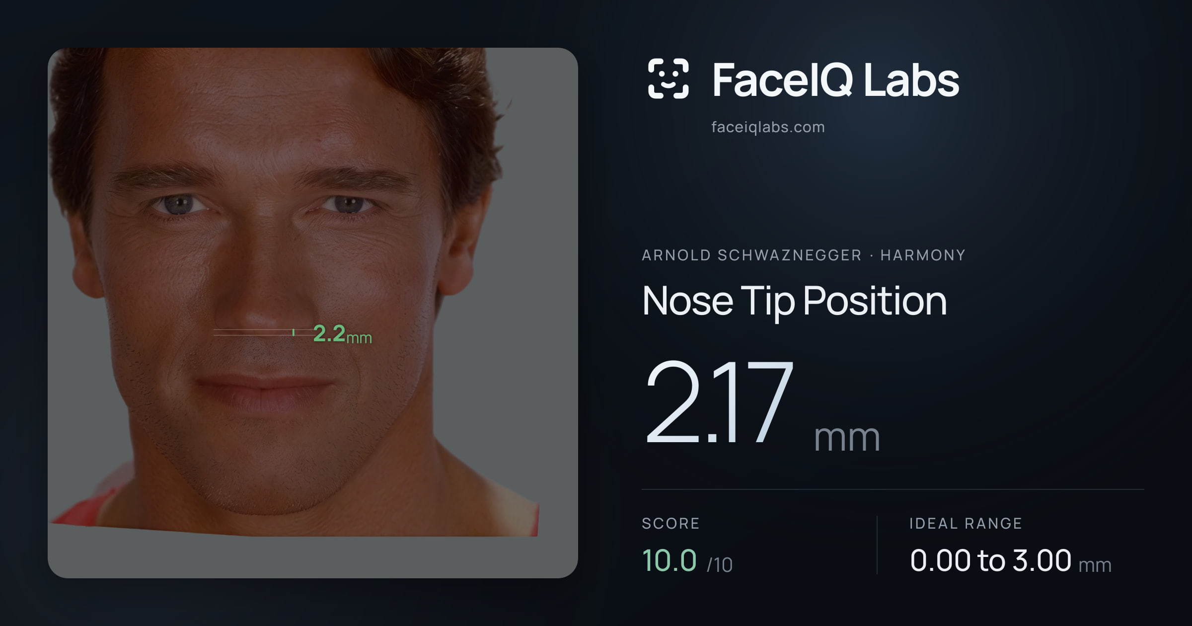 Arnold Schwaznegger Nose Tip Position: 2.17mm, drawn on the photo