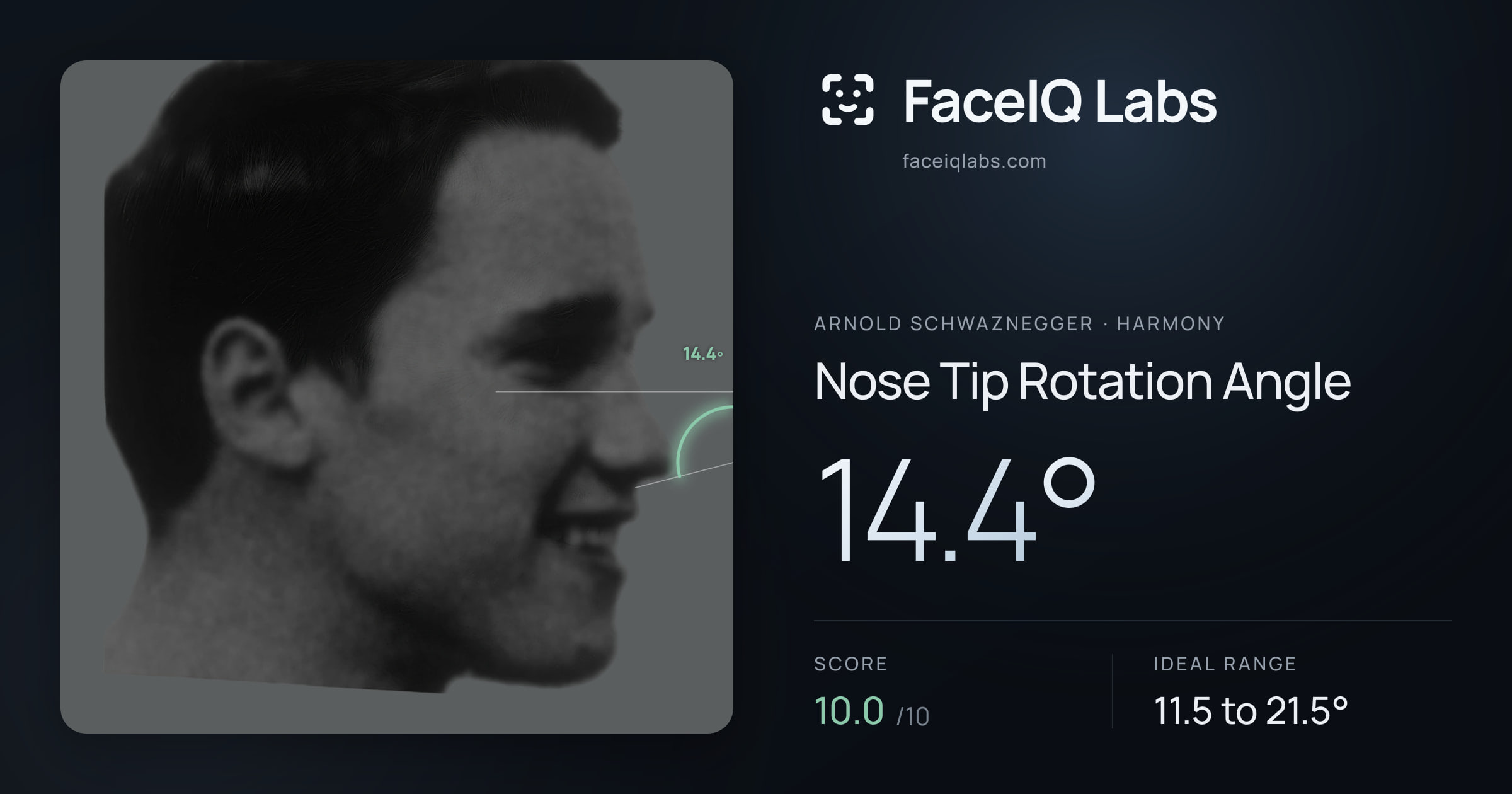 Arnold Schwaznegger Nose Tip Rotation Angle: 14.4°, drawn on the photo