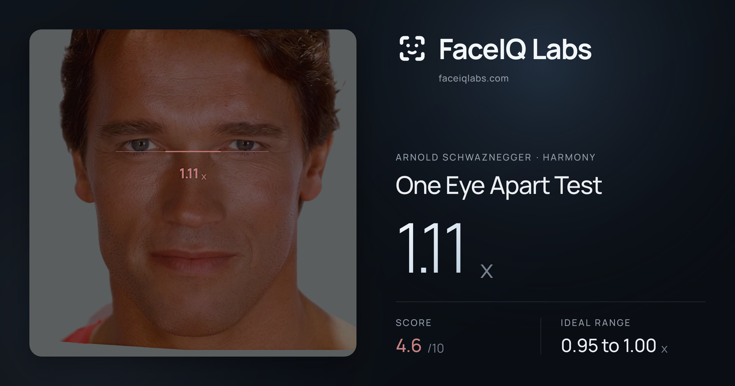 Arnold Schwaznegger One Eye Apart Test: 1.11x, drawn on the photo