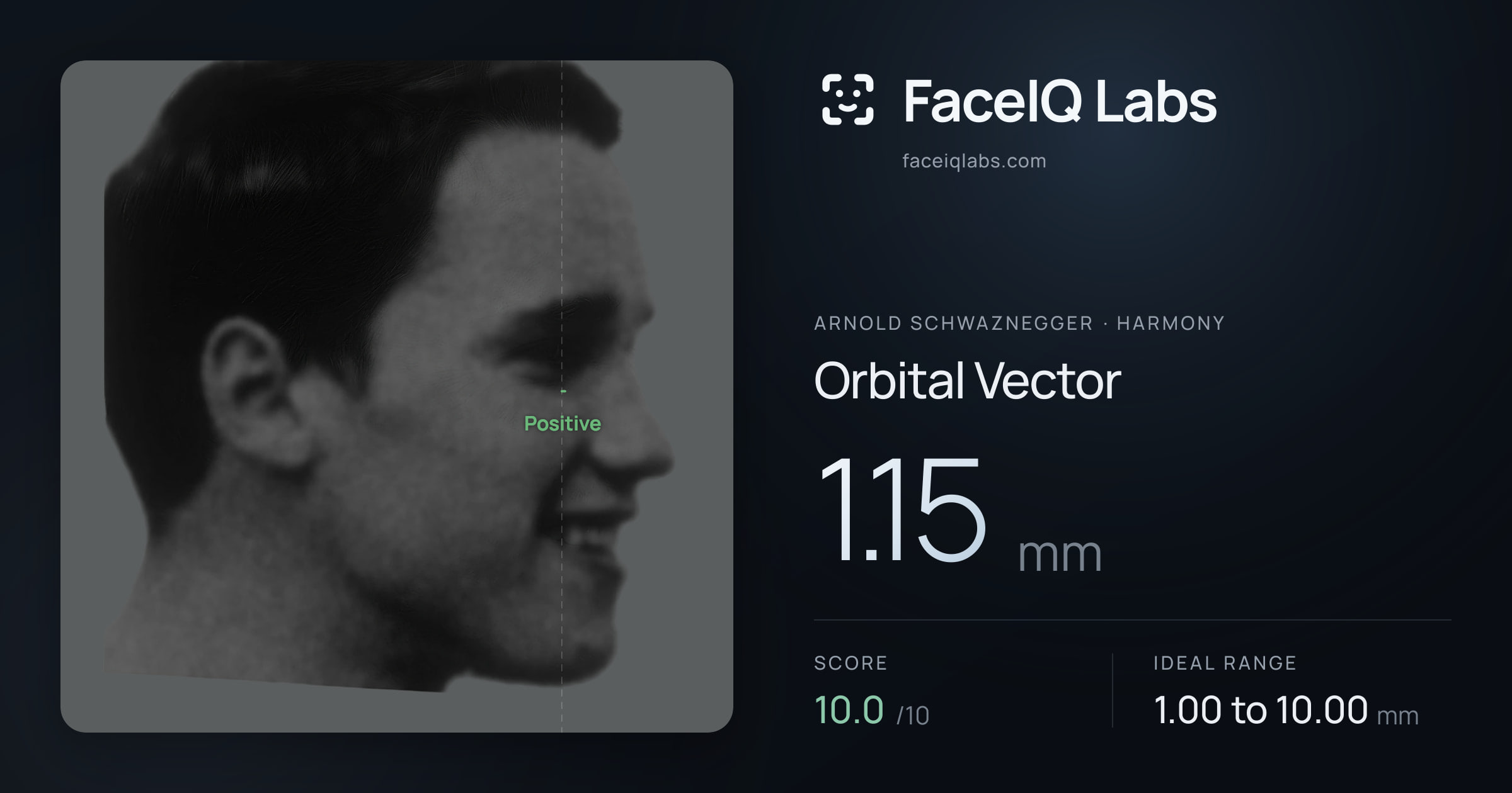 Arnold Schwaznegger Orbital Vector: 1.15mm, drawn on the photo