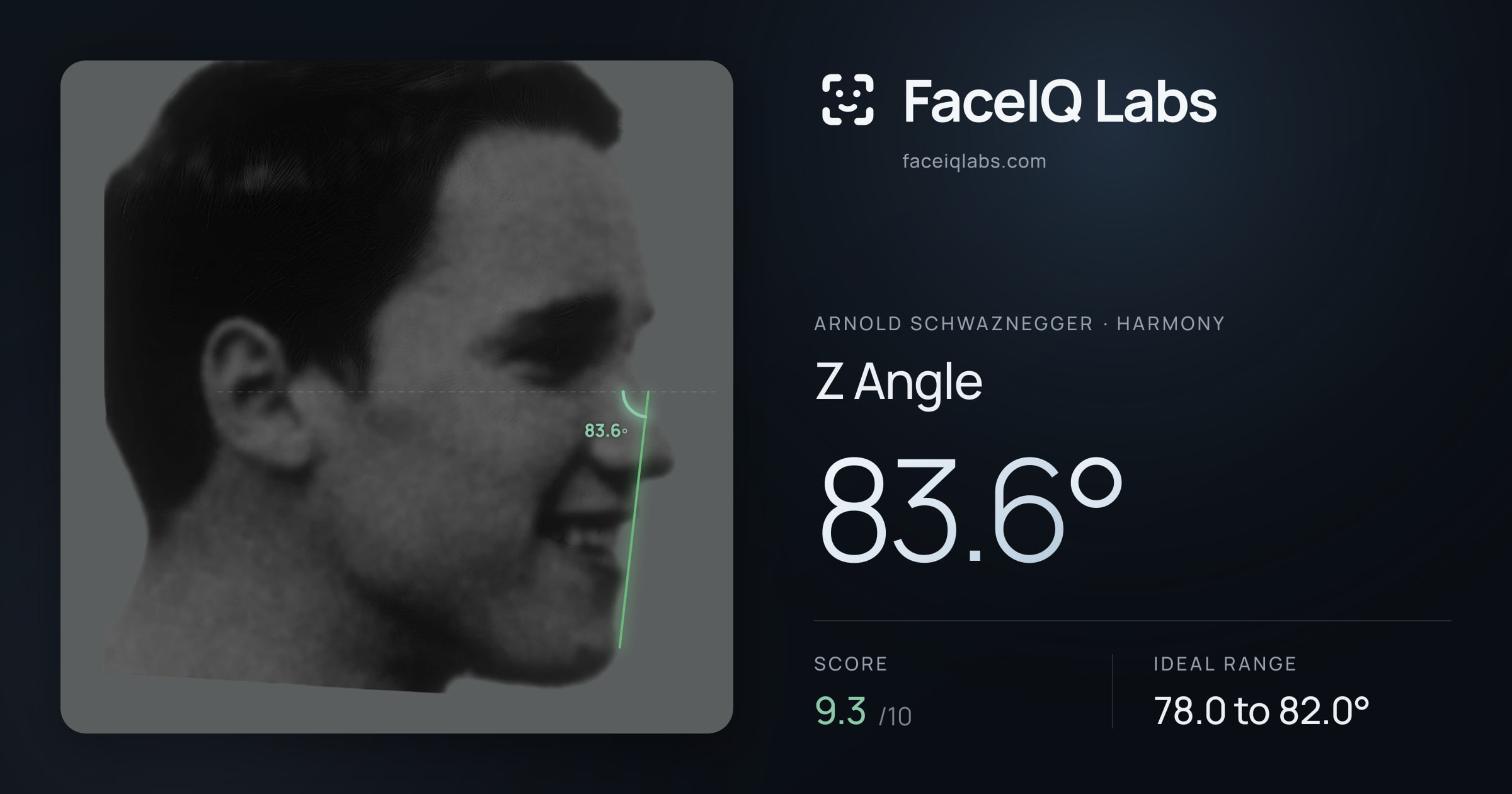 Arnold Schwaznegger Z Angle: 83.6°, drawn on the photo