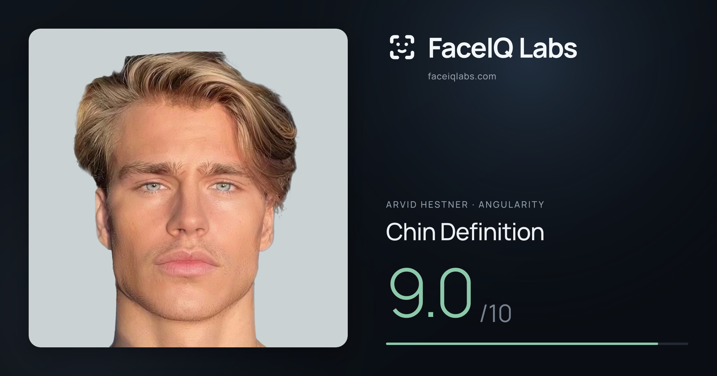 Arvid Hestner Chin Definition: 9.0/10, drawn on the photo