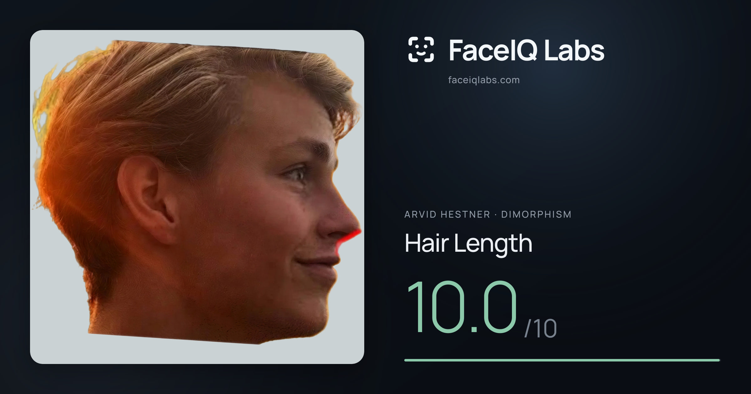 Arvid Hestner Hair Length: 10.0/10, drawn on the photo