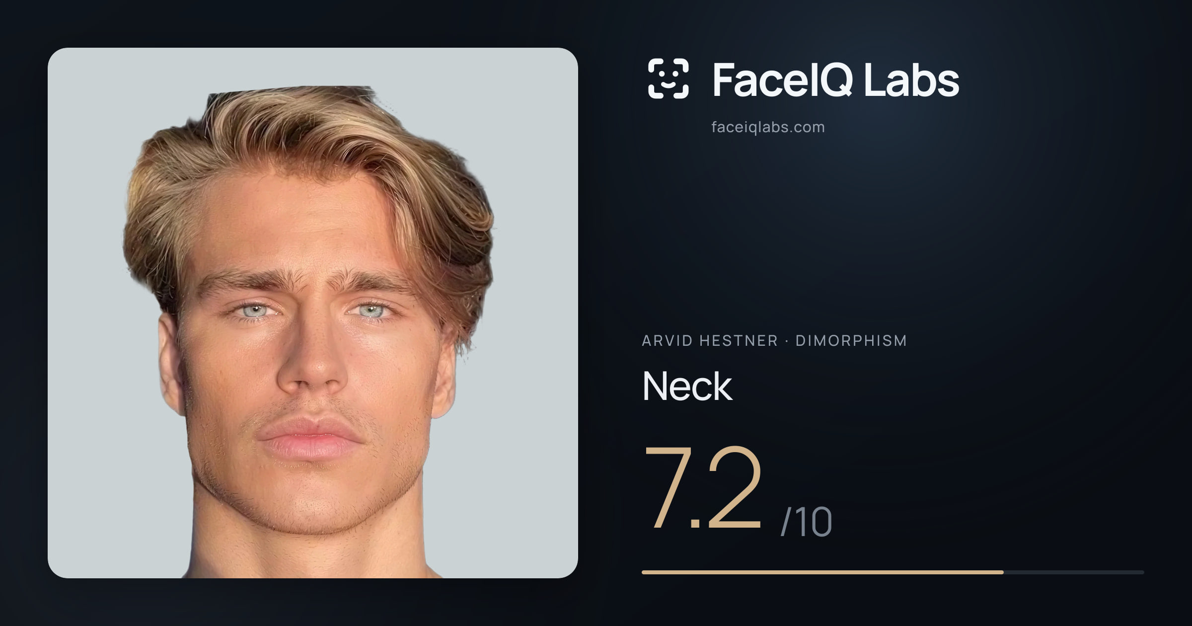 Arvid Hestner Neck: 7.2/10, drawn on the photo