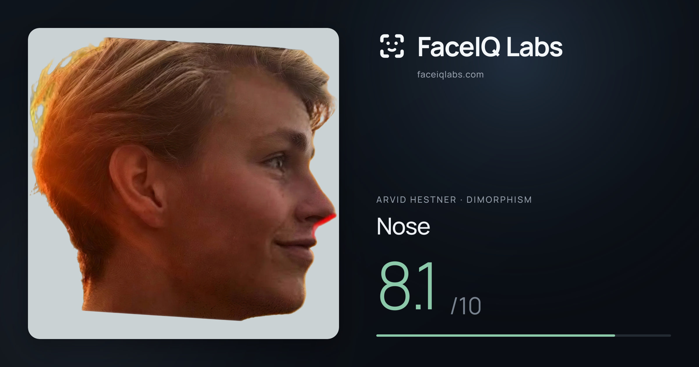 Arvid Hestner Nose: 8.1/10, drawn on the photo