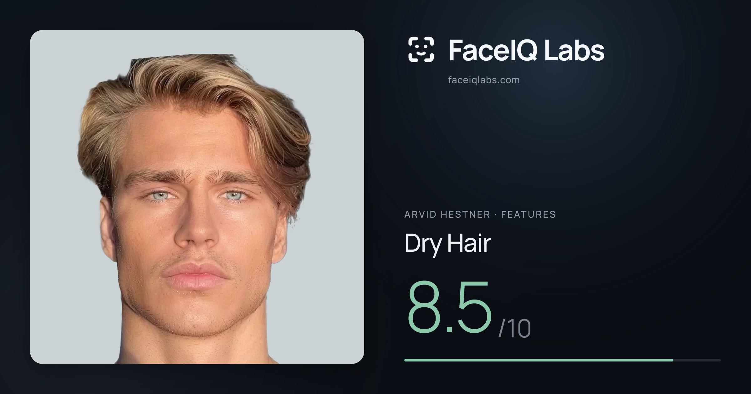 Arvid Hestner Dry Hair: 8.5/10, drawn on the photo
