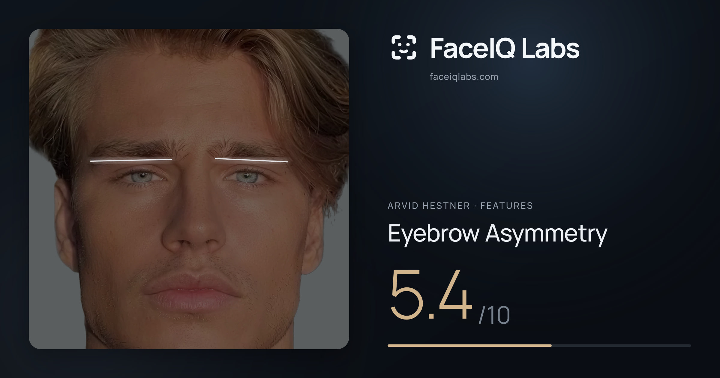 Arvid Hestner Eyebrow Asymmetry: 5.4/10, drawn on the photo