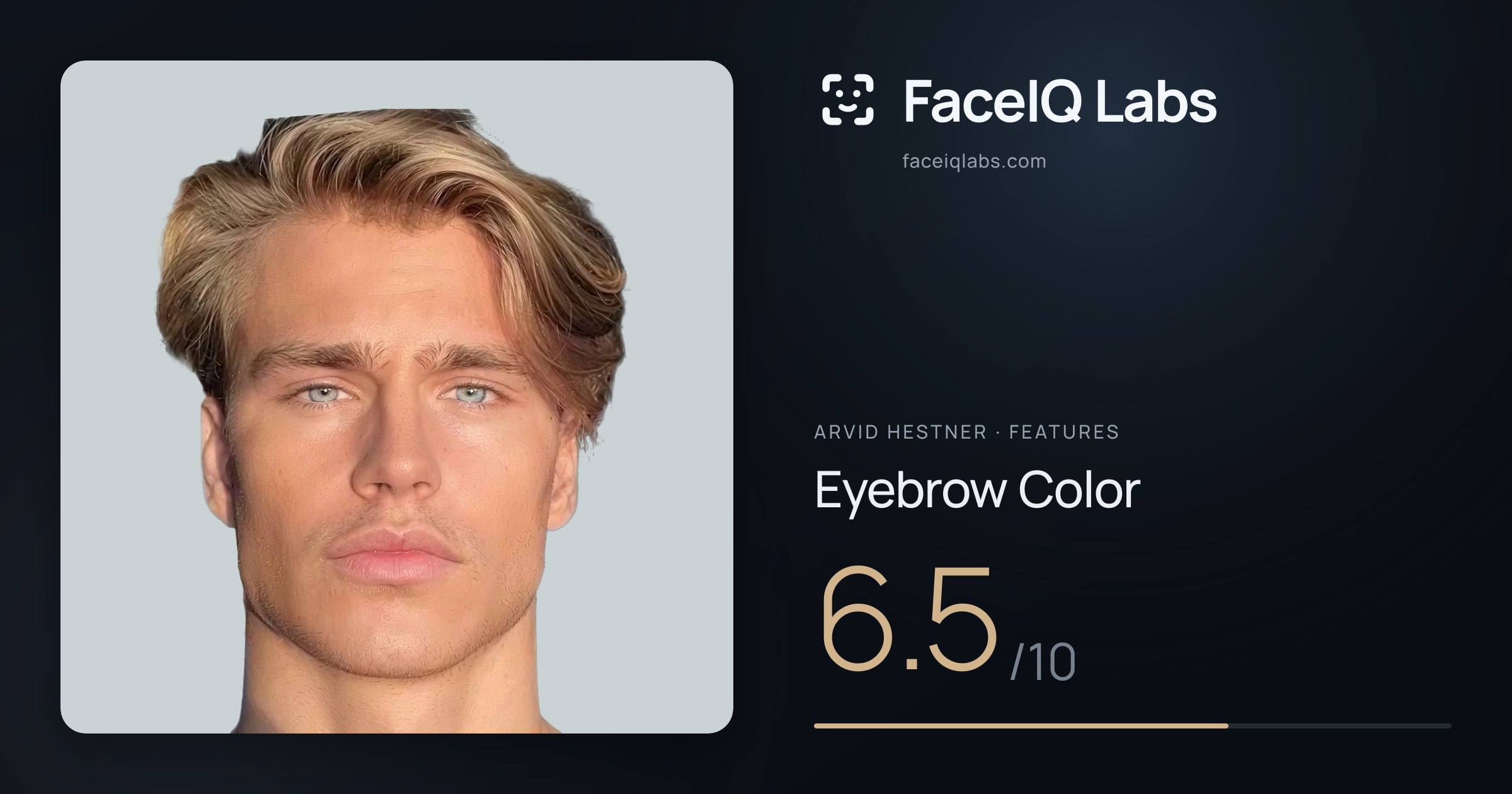 Arvid Hestner Eyebrow Color: 6.5/10, drawn on the photo