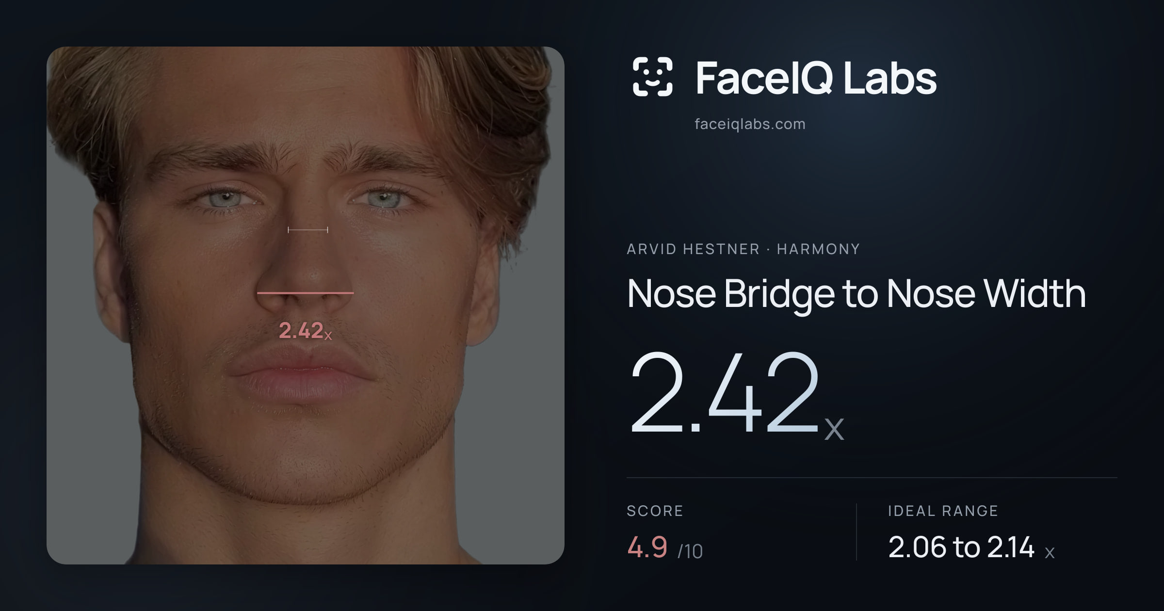 Arvid Hestner Nose Bridge to Nose Width: 2.42x, drawn on the photo