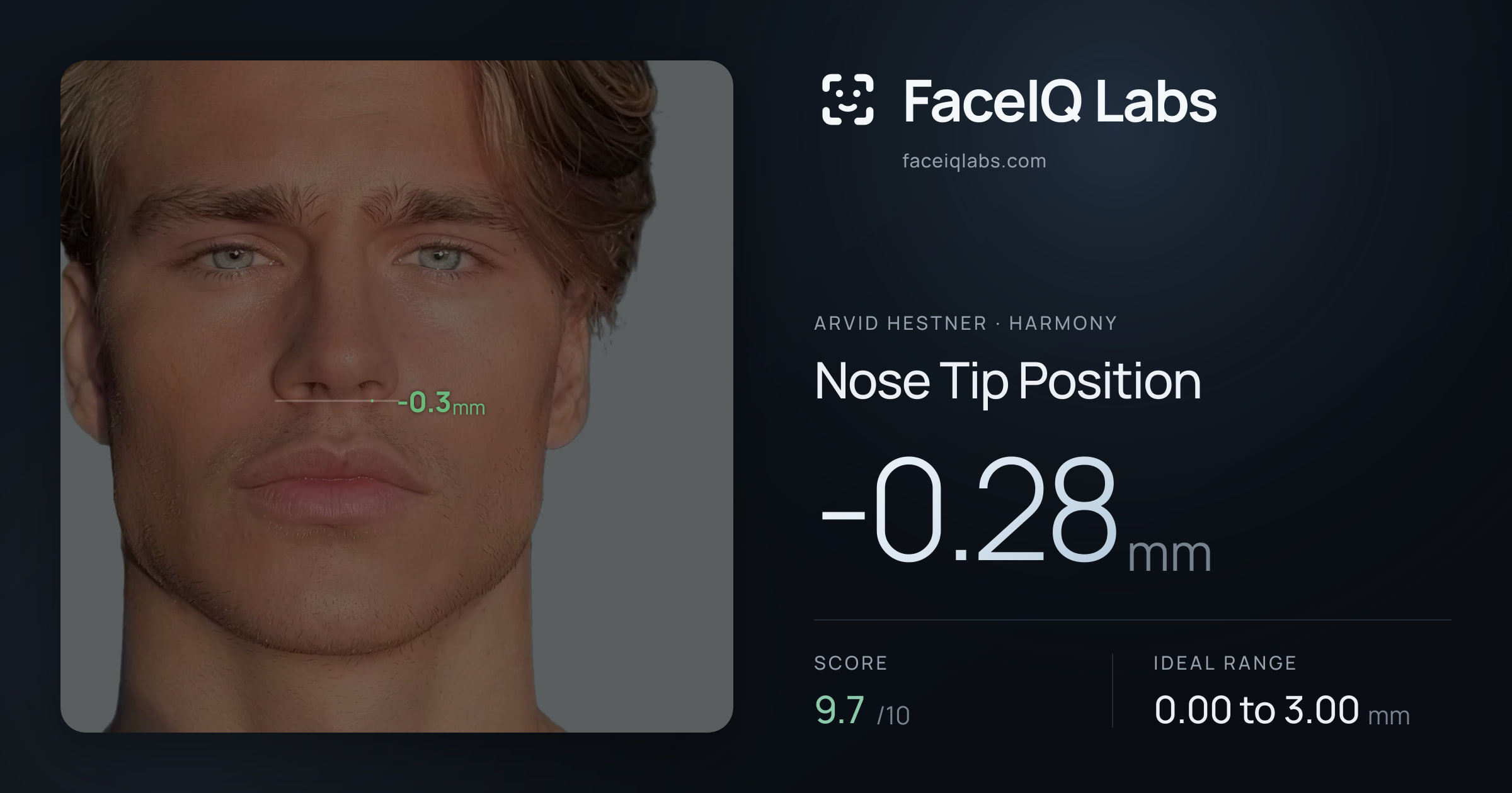 Arvid Hestner Nose Tip Position: -0.28mm, drawn on the photo