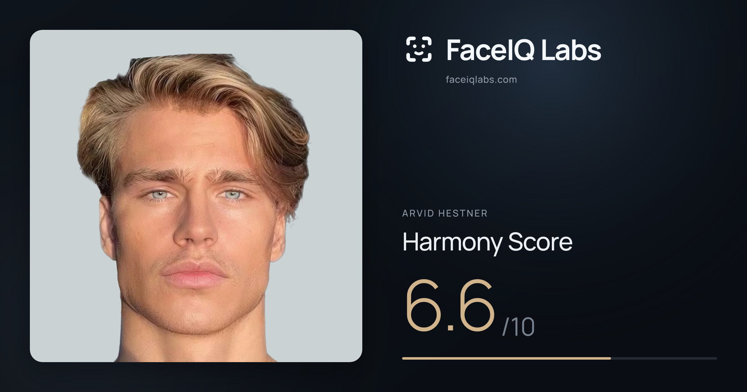 Arvid Hestner Harmony: 6.6/10, with each ratio's score