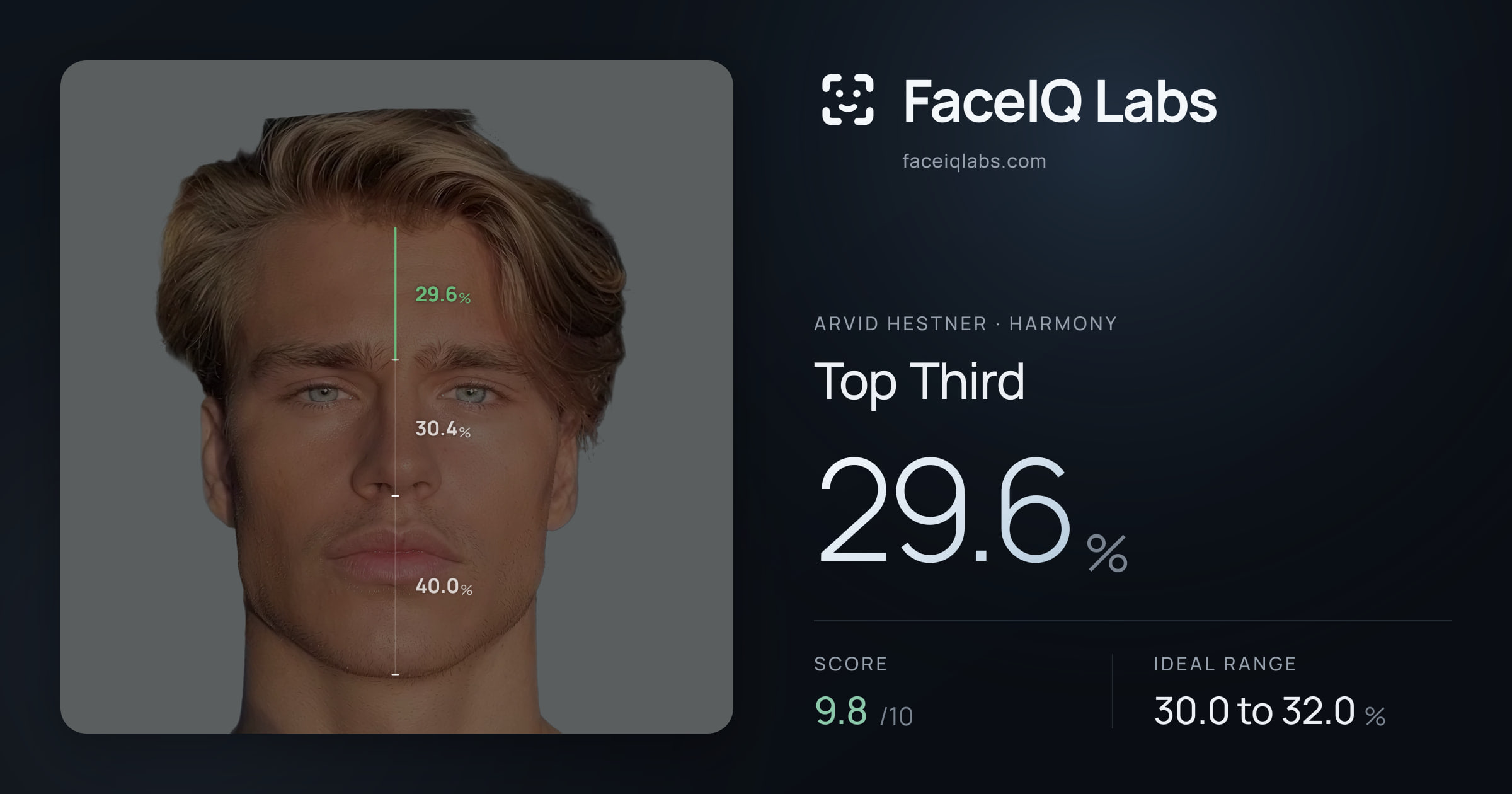 Arvid Hestner Top Third: 29.6%, drawn on the photo