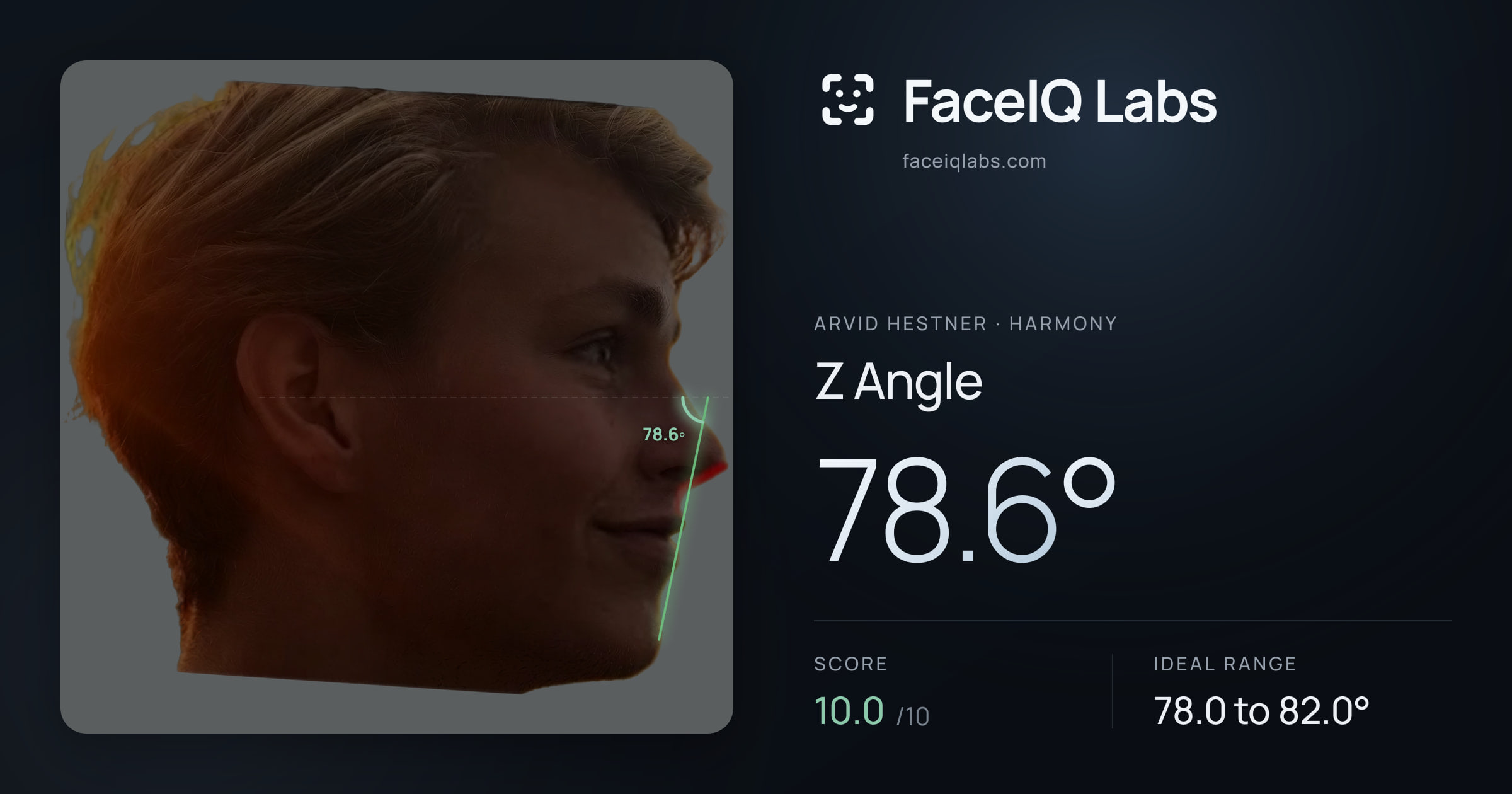 Arvid Hestner Z Angle: 78.6°, drawn on the photo