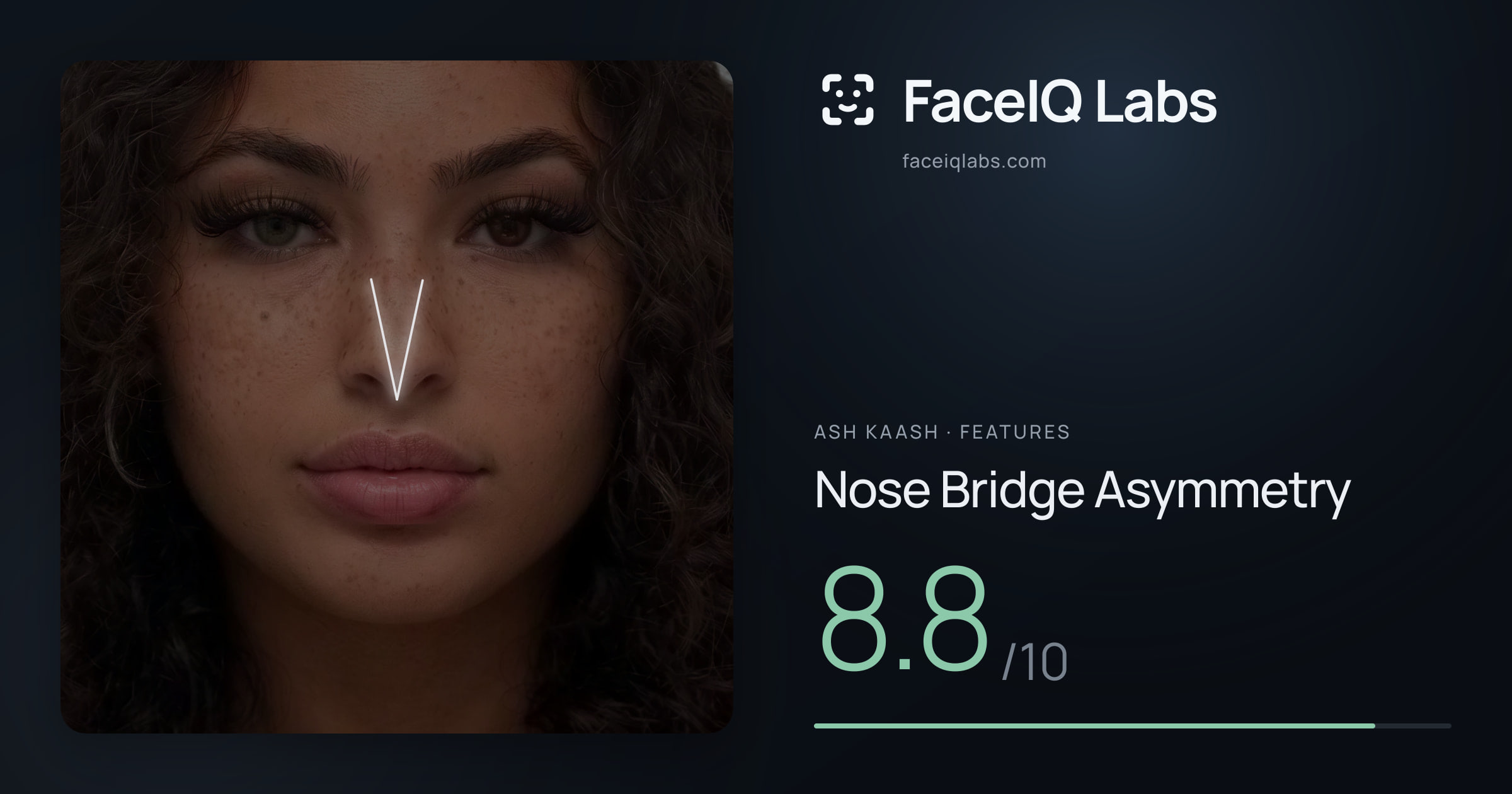 Ash Kaash Nose Bridge Asymmetry: 8.8/10, drawn on the photo