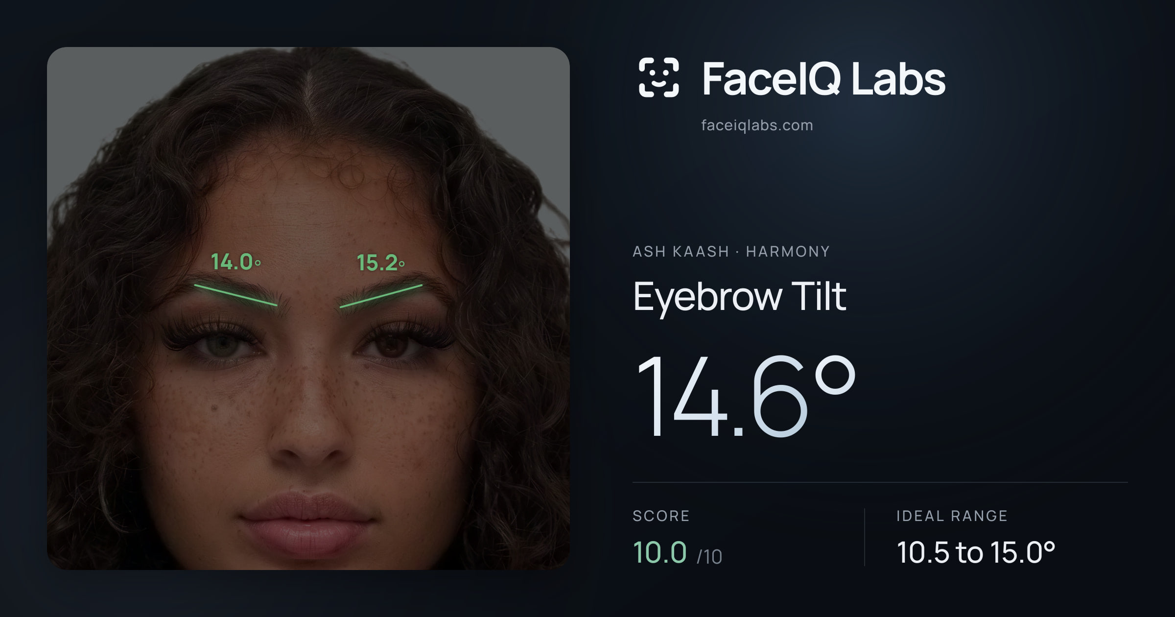 Ash Kaash Eyebrow Tilt: 14.6°, drawn on the photo