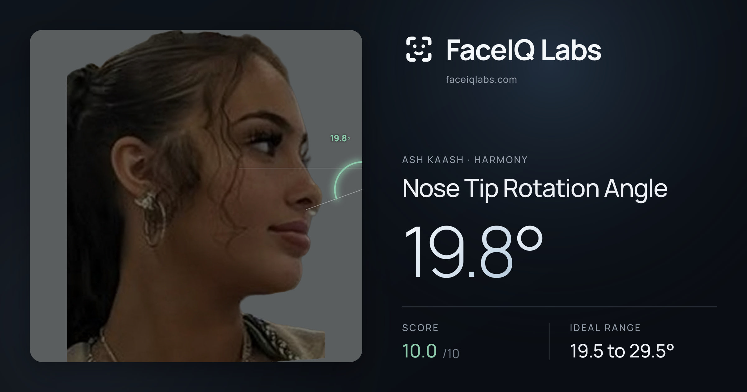 Ash Kaash Nose Tip Rotation Angle: 19.8°, drawn on the photo