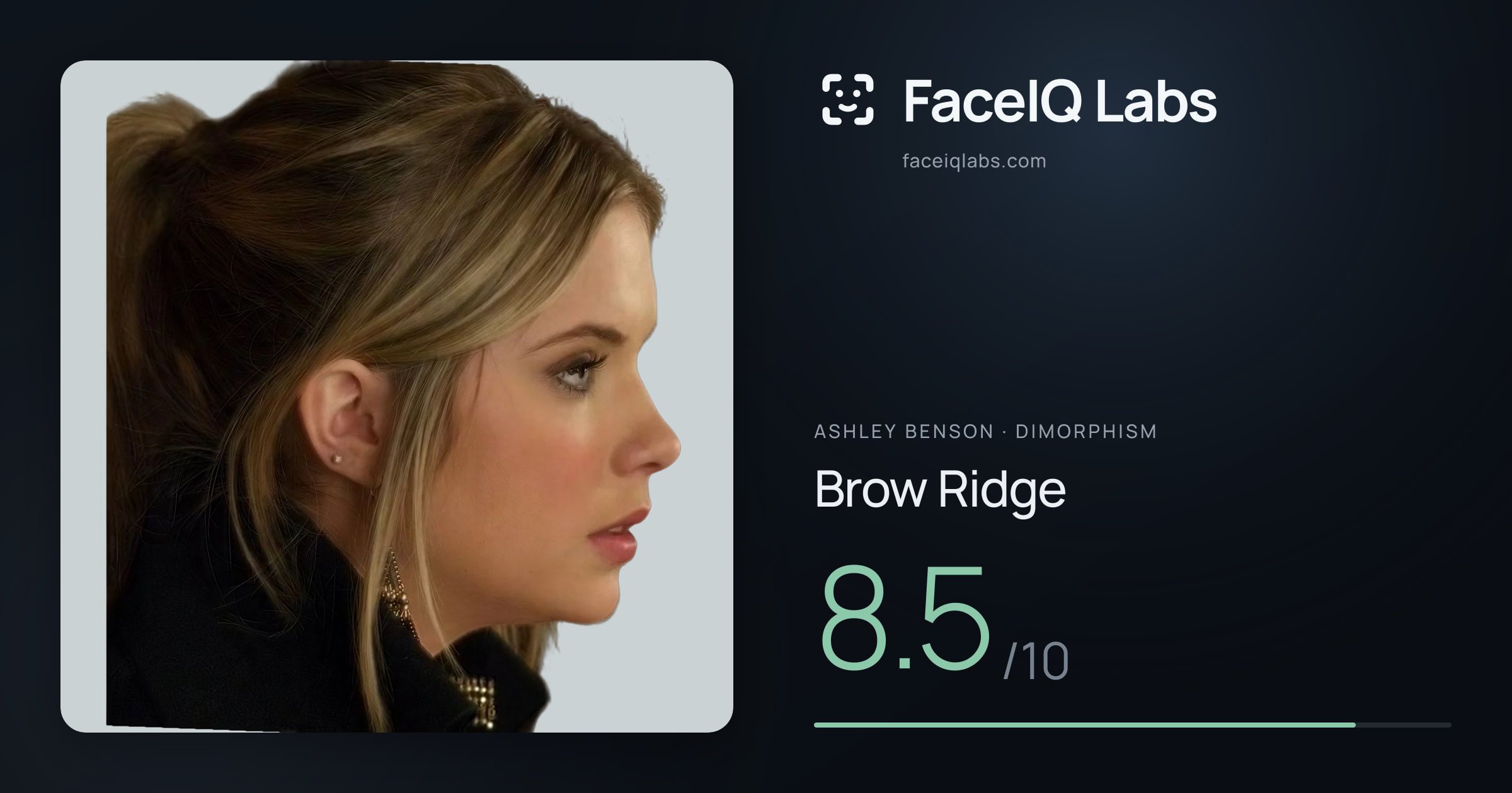 Ashley Benson Brow Ridge: 8.5/10, drawn on the photo