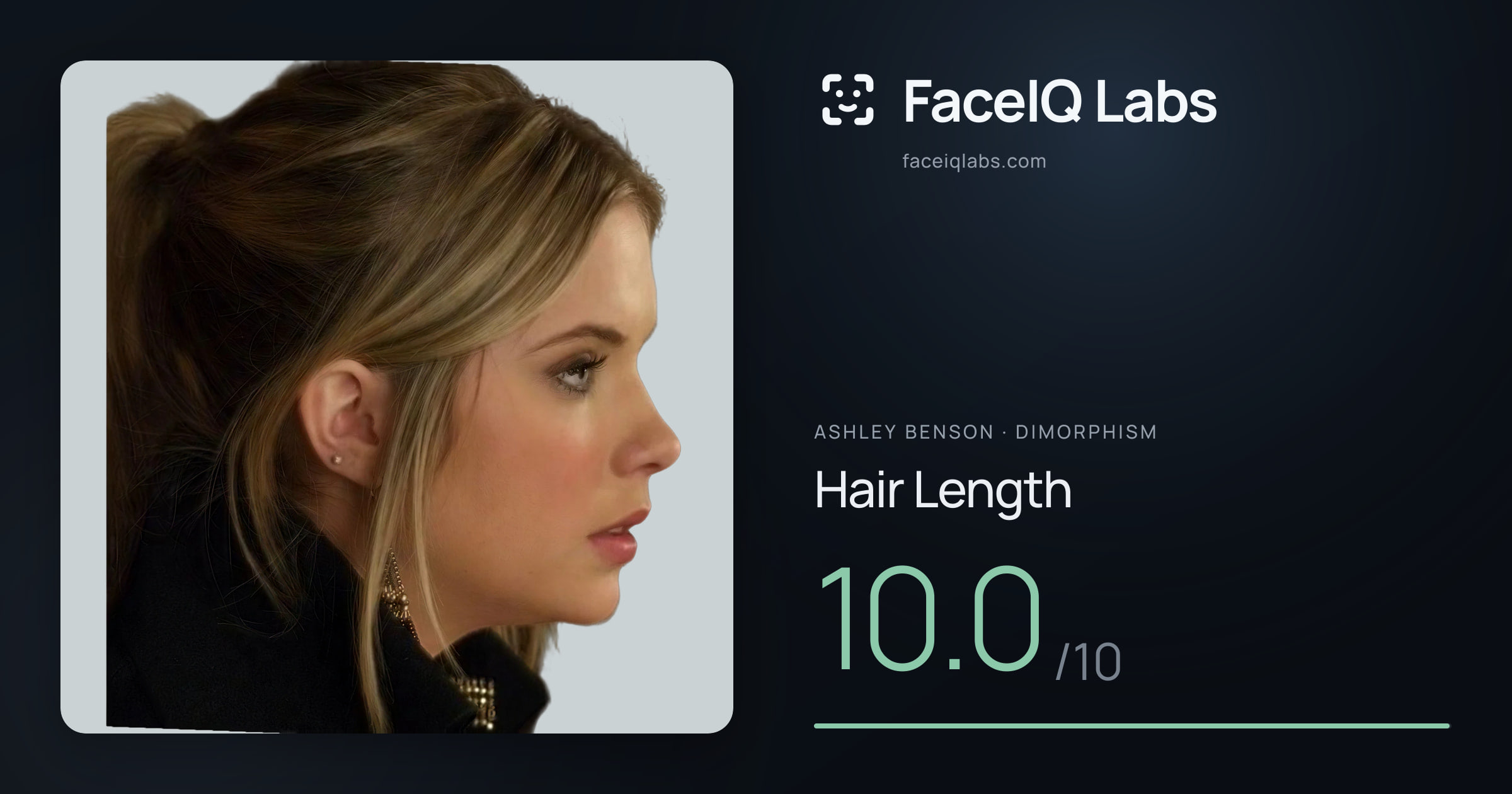 Ashley Benson Hair Length: 10.0/10, drawn on the photo