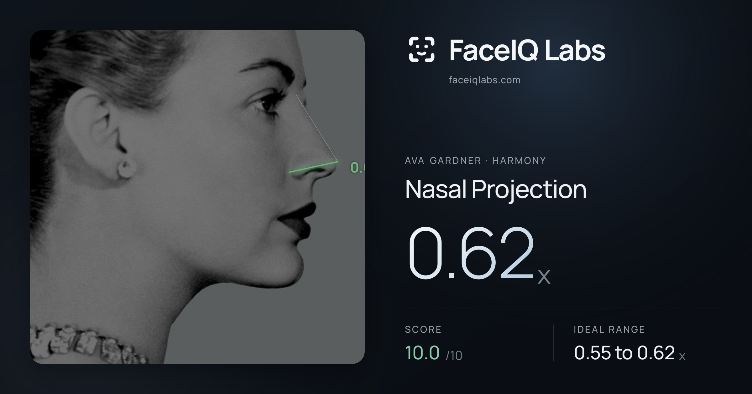 Ava Gardner Nasal Projection: 0.62x, drawn on the photo
