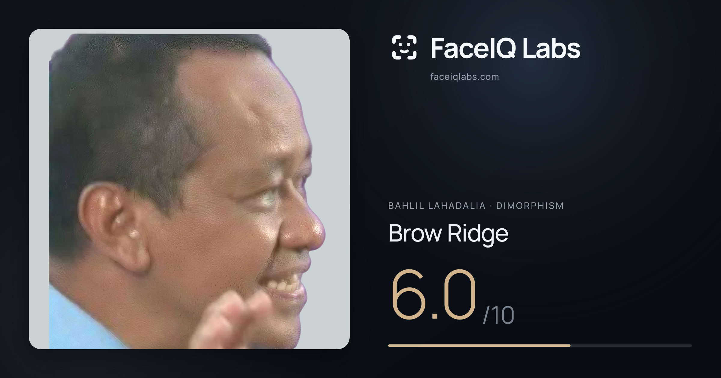 Bahlil Lahadalia Brow Ridge: 6.0/10, drawn on the photo
