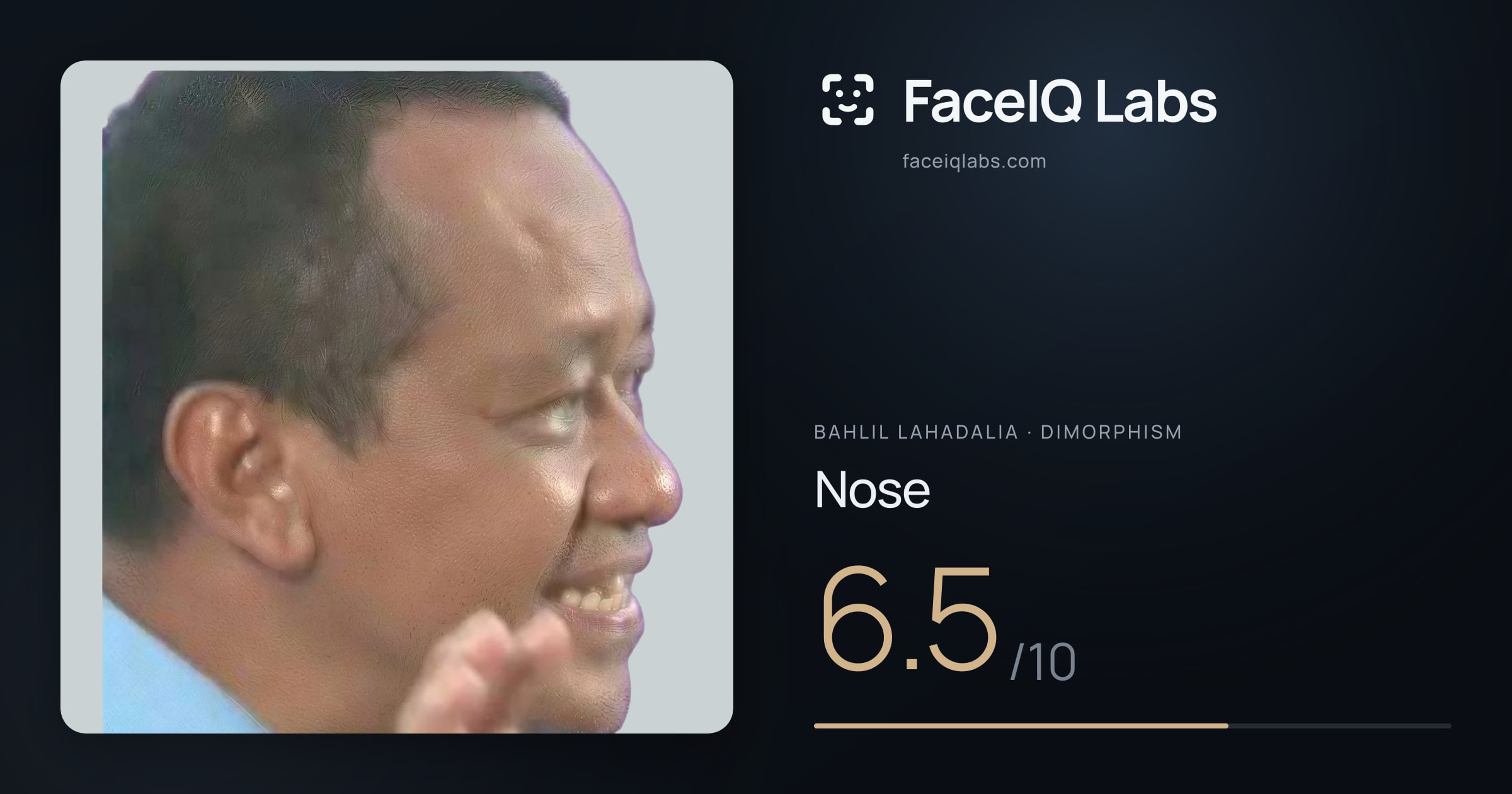 Bahlil Lahadalia Nose: 6.5/10, drawn on the photo