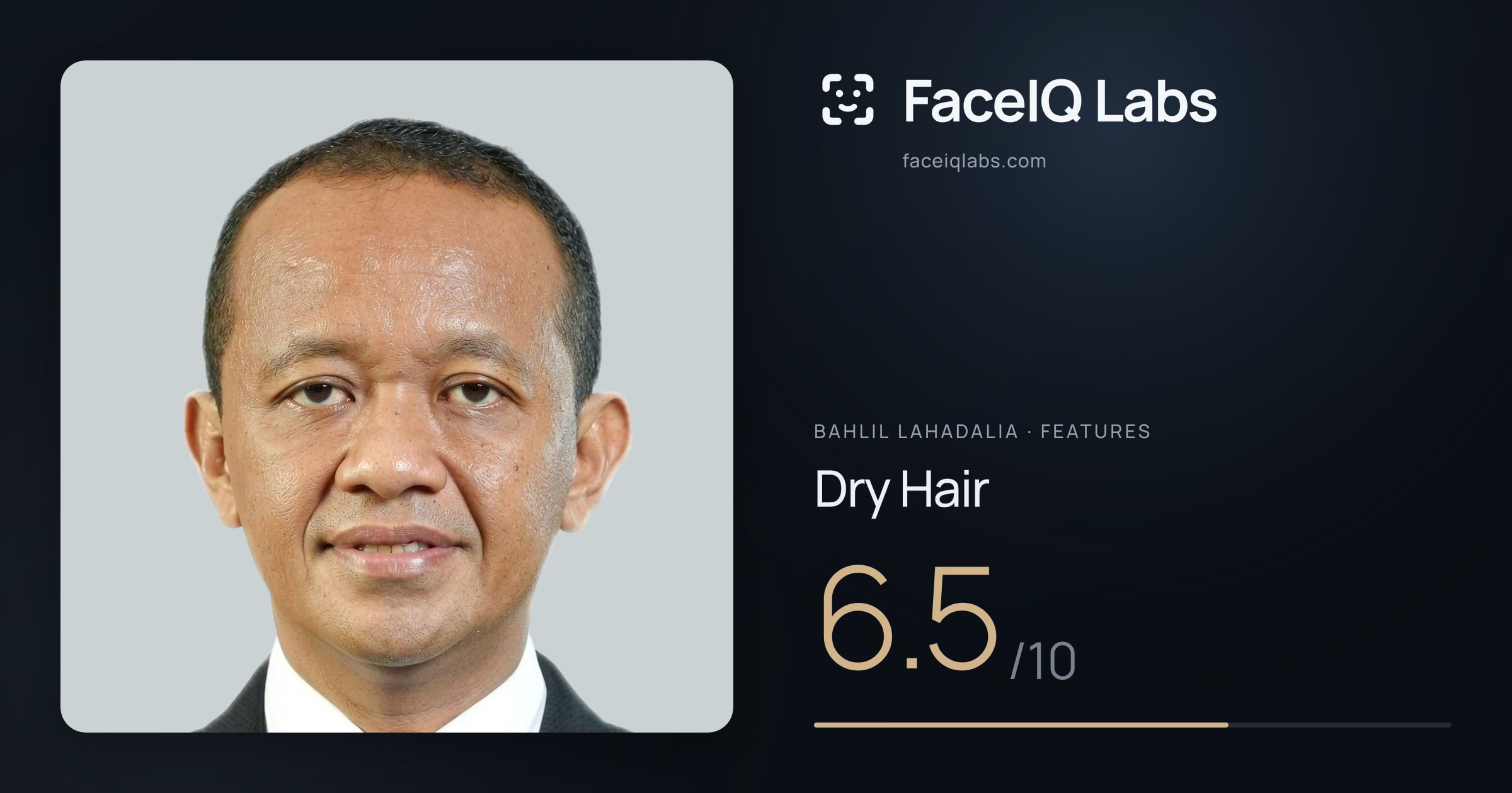 Bahlil Lahadalia Dry Hair: 6.5/10, drawn on the photo