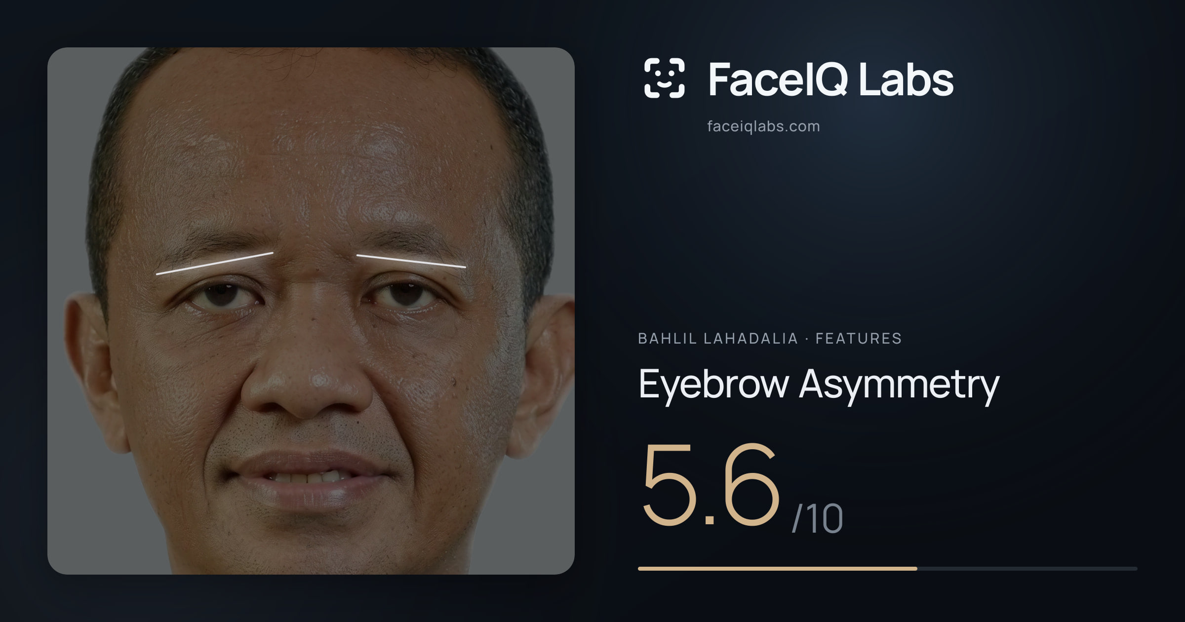Bahlil Lahadalia Eyebrow Asymmetry: 5.6/10, drawn on the photo