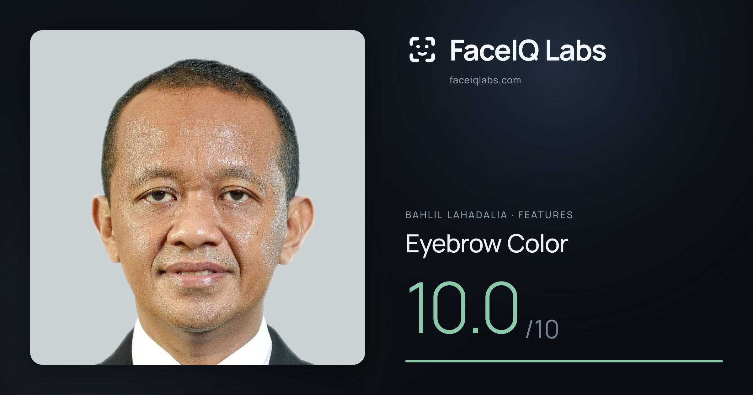 Bahlil Lahadalia Eyebrow Color: 10.0/10, drawn on the photo