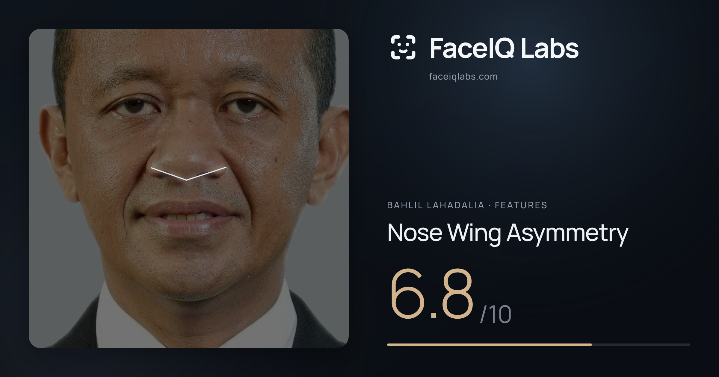 Bahlil Lahadalia Nose Wing Asymmetry: 6.8/10, drawn on the photo