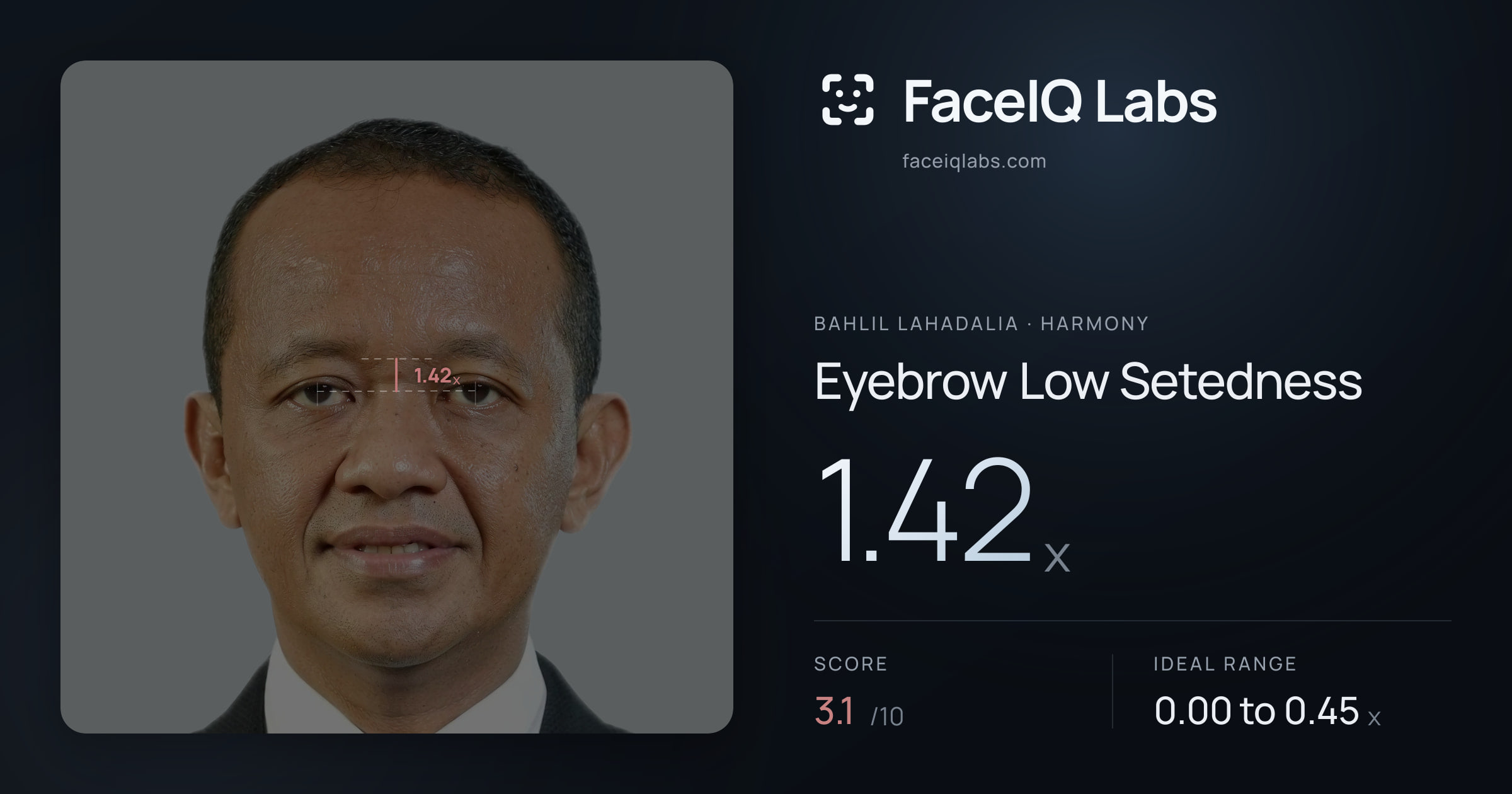 Bahlil Lahadalia Eyebrow Low Setedness: 1.42x, drawn on the photo