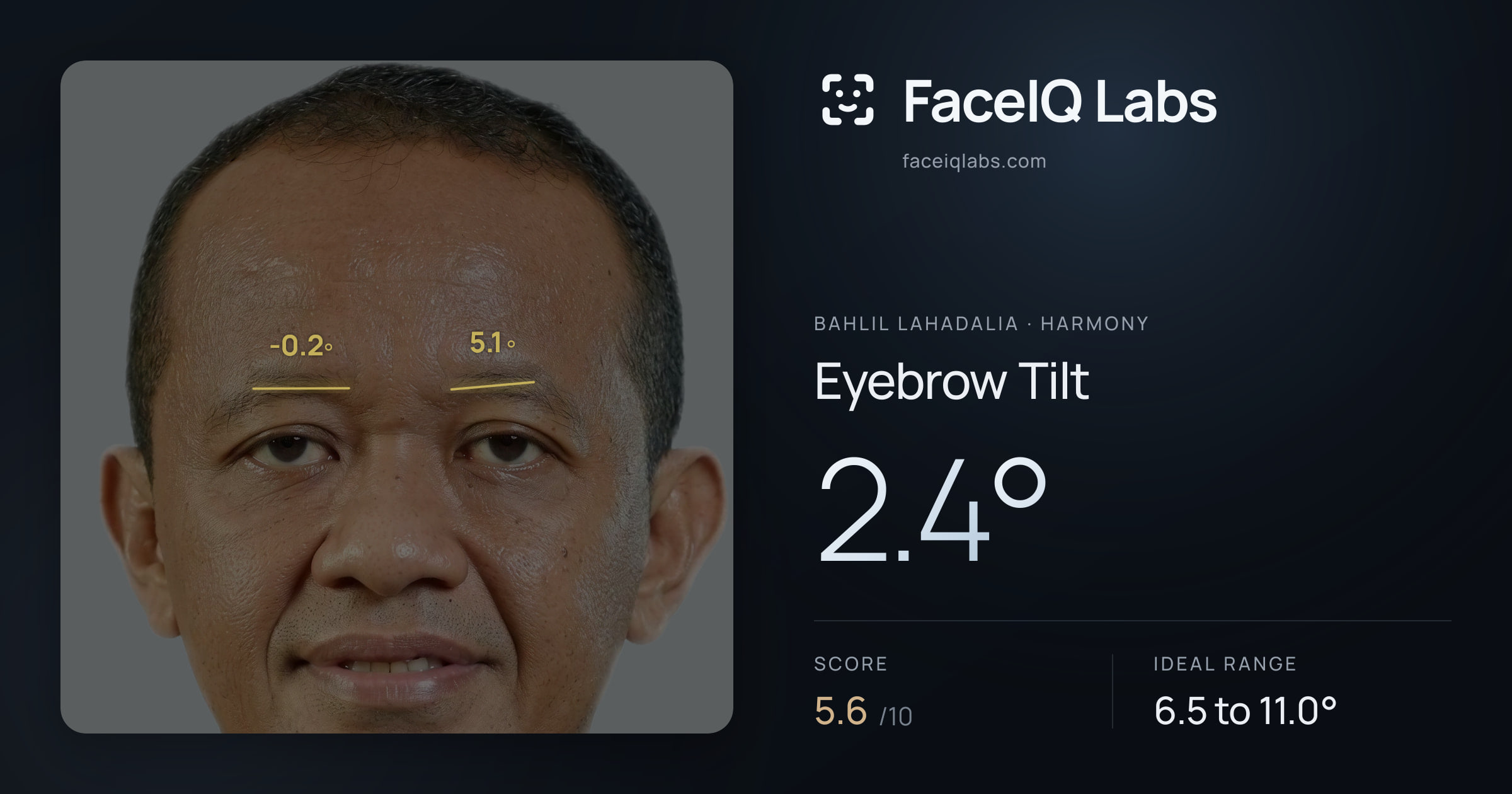 Bahlil Lahadalia Eyebrow Tilt: 2.4°, drawn on the photo