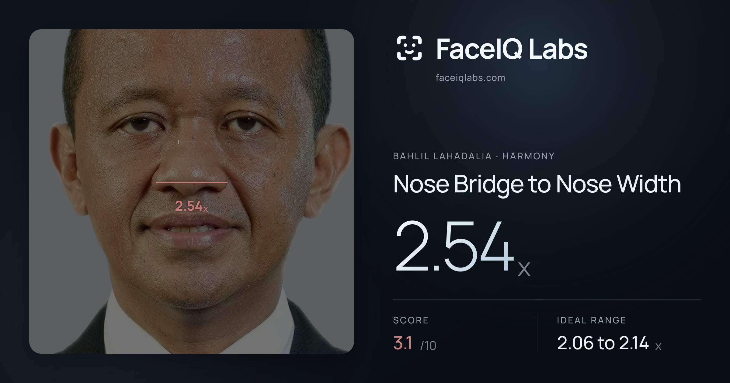 Bahlil Lahadalia Nose Bridge to Nose Width: 2.54x, drawn on the photo