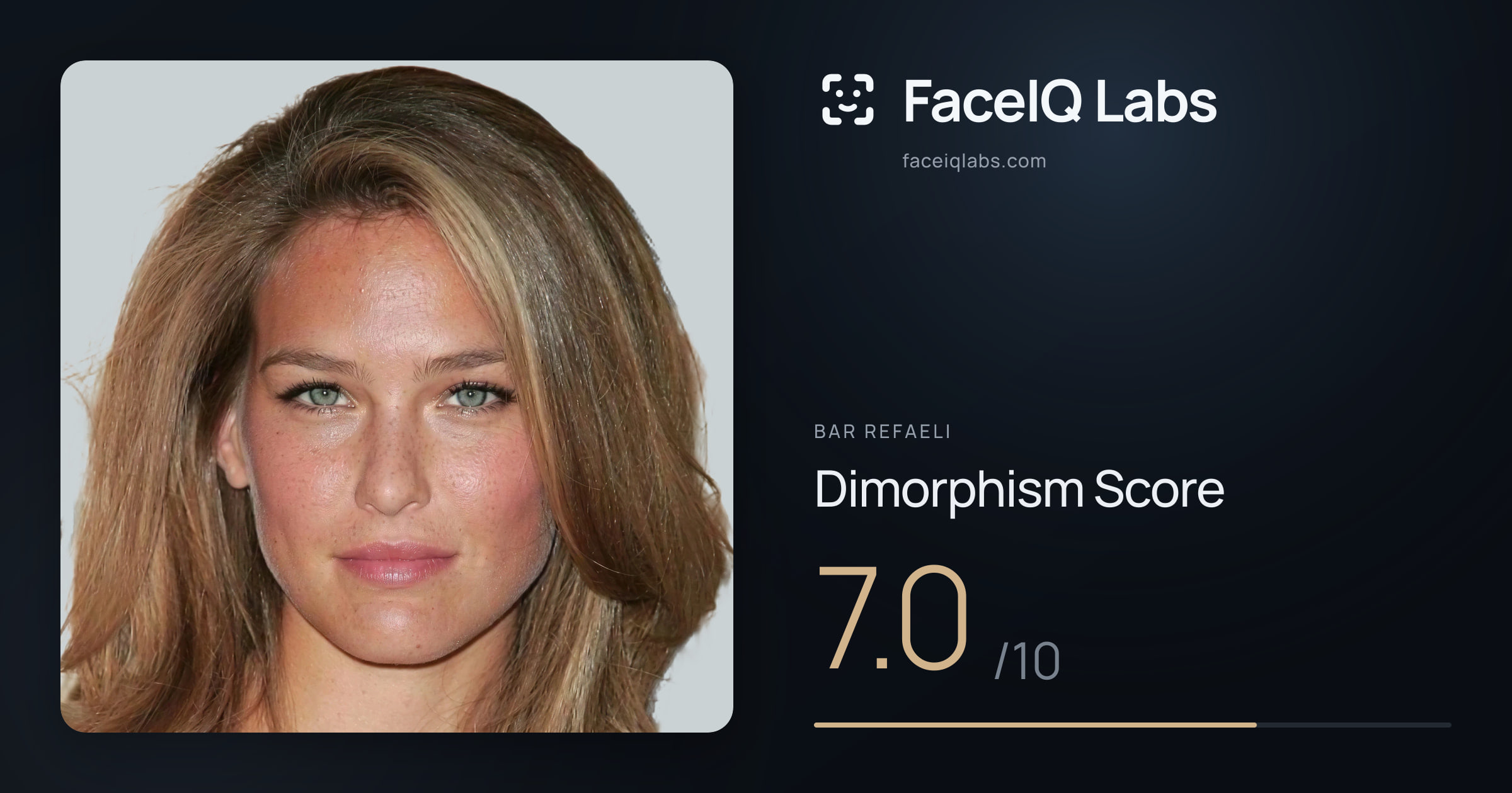 Bar Refaeli Dimorphism: 7.0/10, with each assessment drawn on the photo