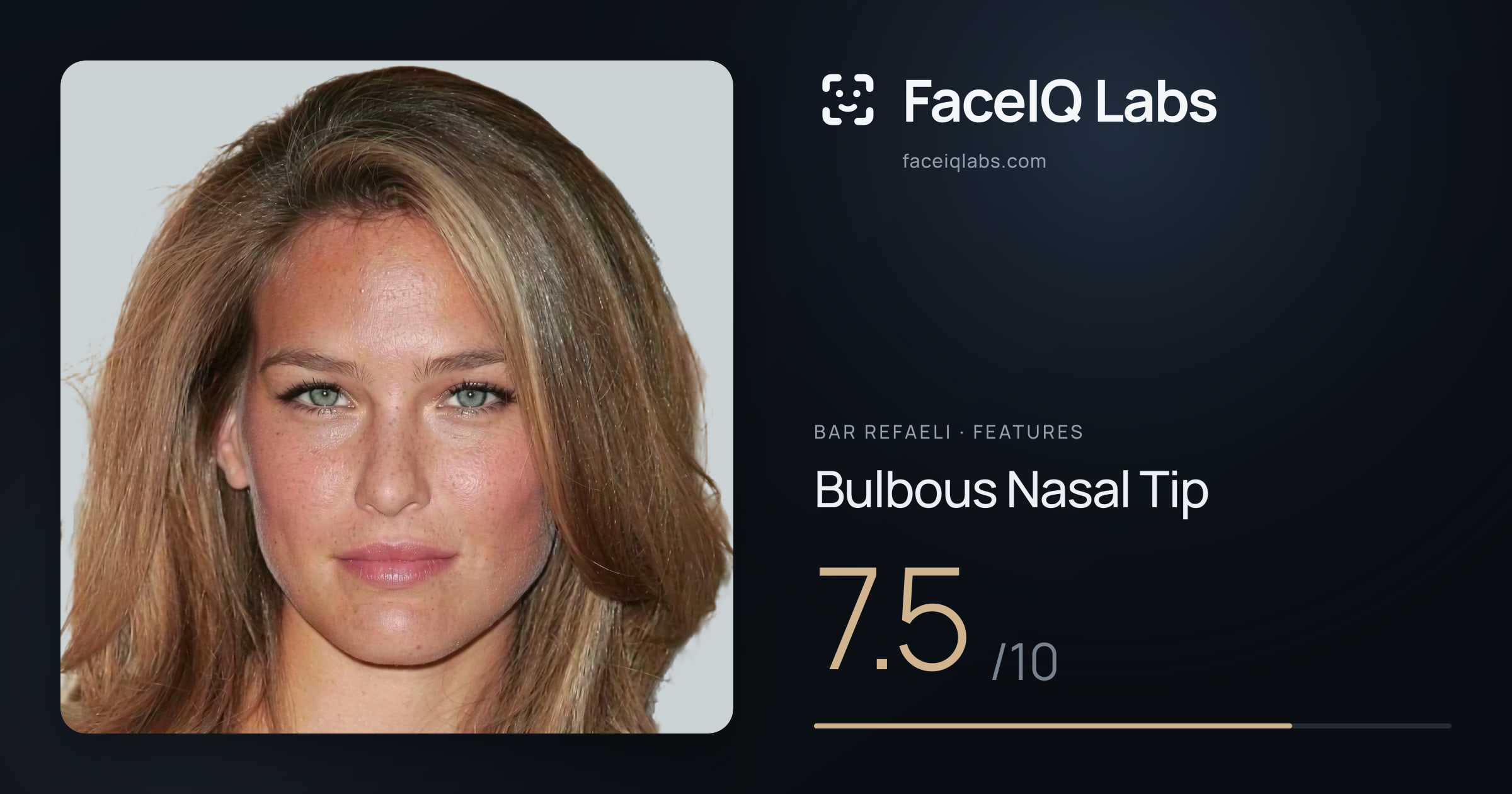 Bar Refaeli Bulbous Nasal Tip: 7.5/10, drawn on the photo