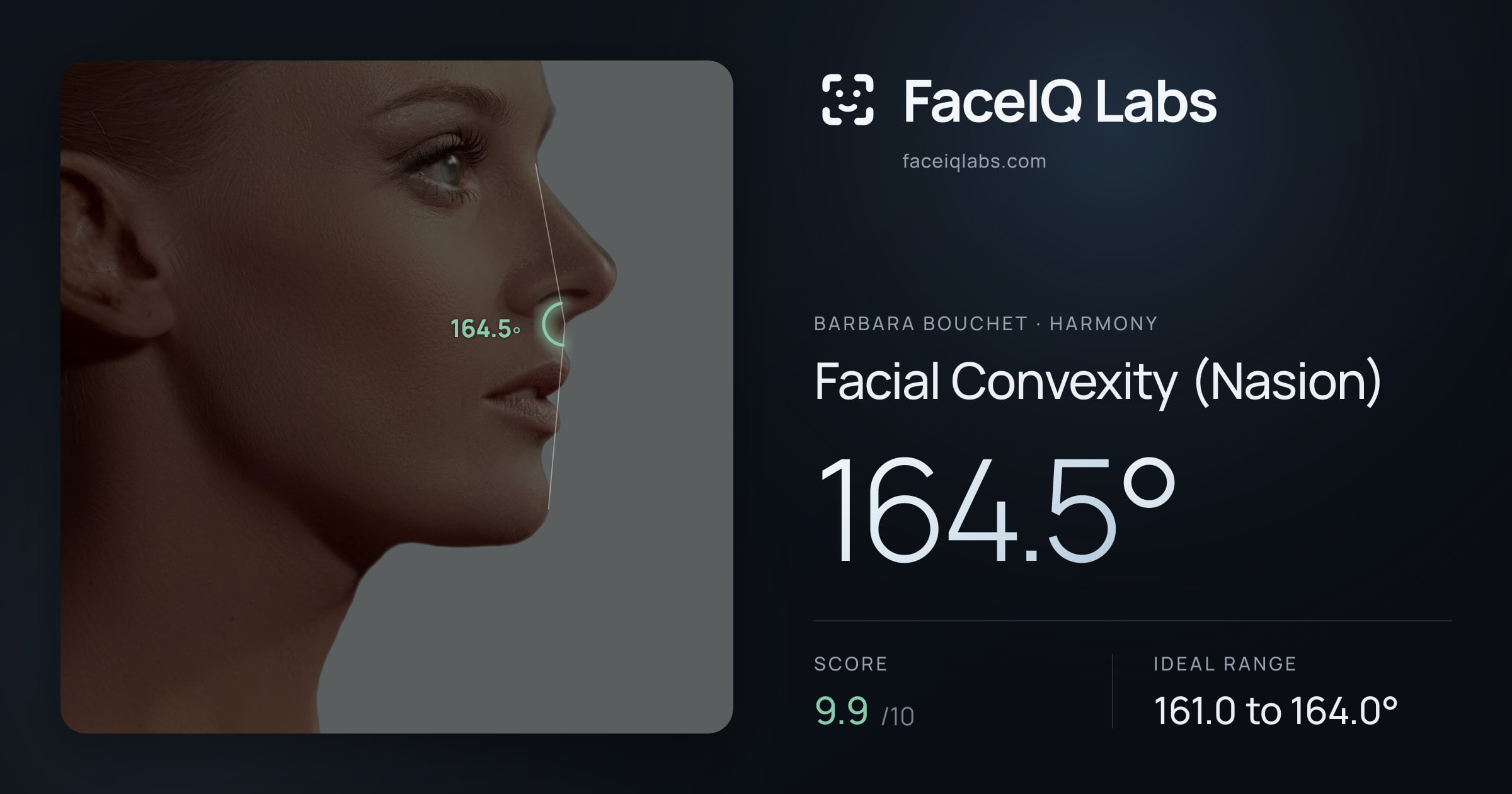Barbara Bouchet Facial Convexity (Nasion): 164.5°, drawn on the photo