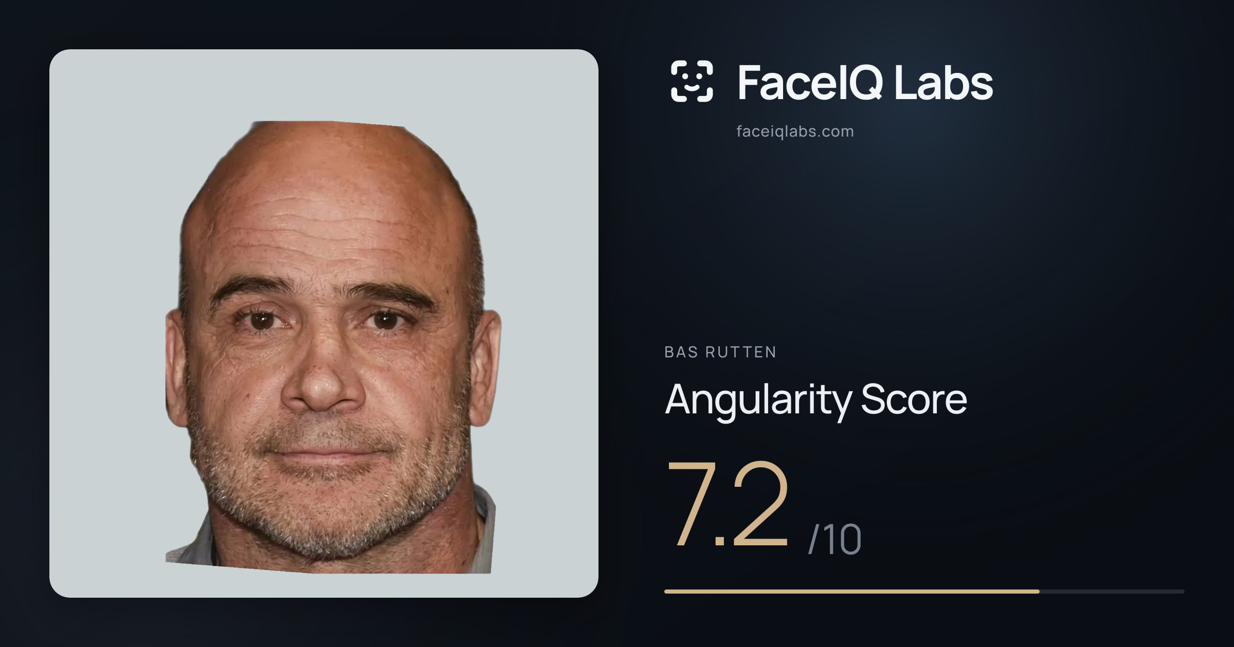 Bas Rutten Angularity: 7.2/10, with each assessment drawn on the photo
