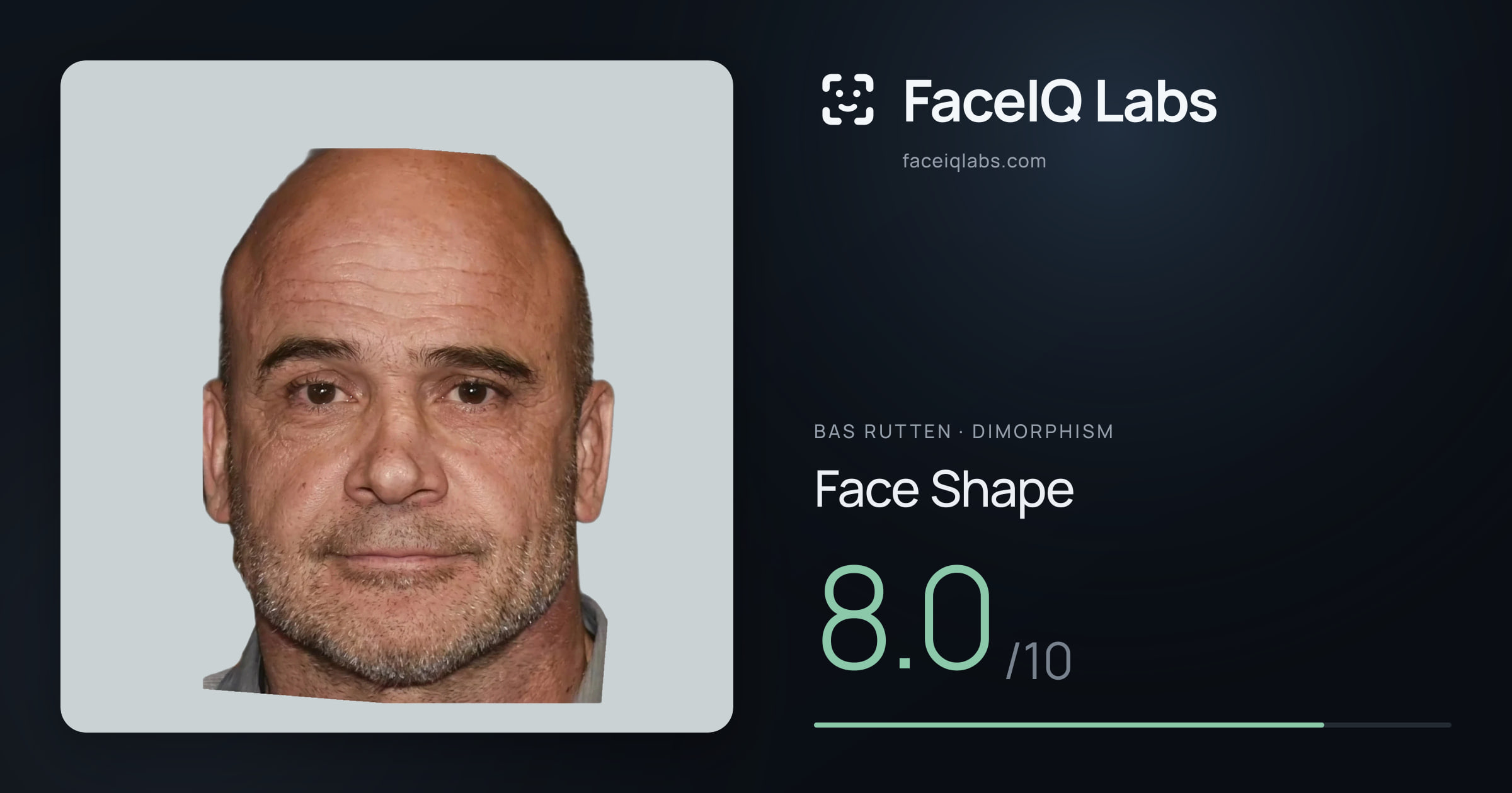 Bas Rutten Face Shape: 8.0/10, drawn on the photo