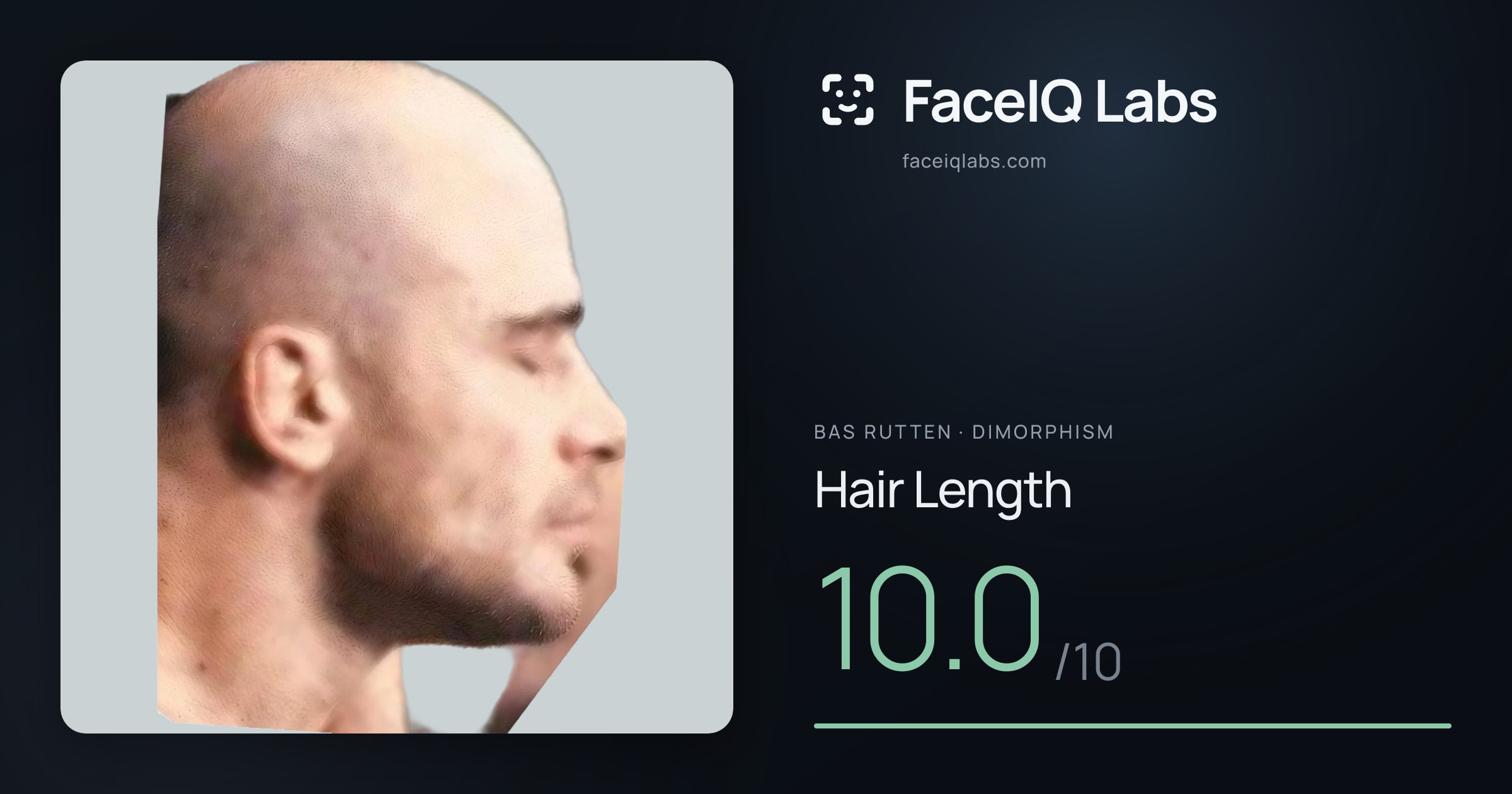 Bas Rutten Hair Length: 10.0/10, drawn on the photo
