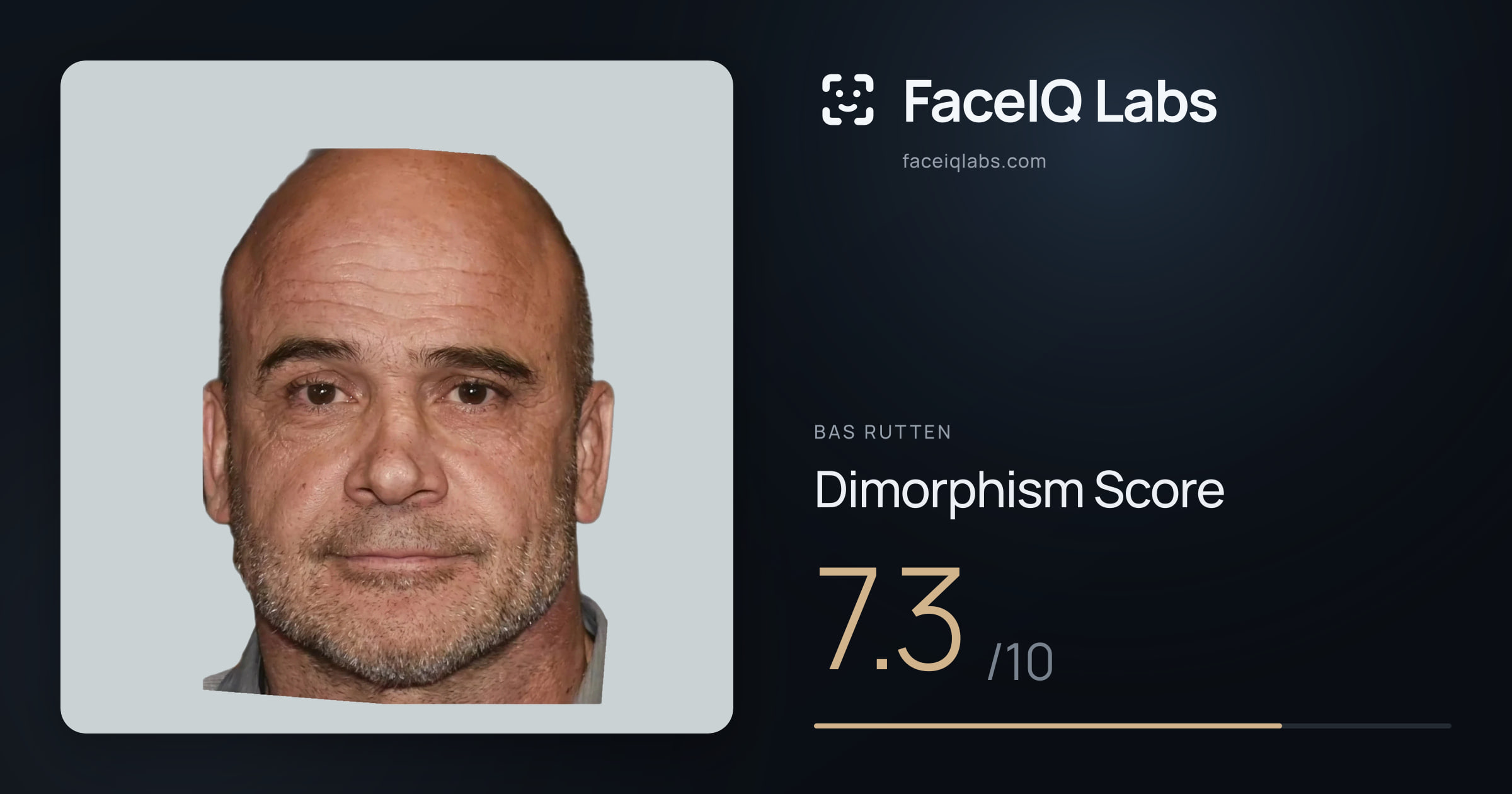 Bas Rutten Dimorphism: 7.3/10, with each assessment drawn on the photo