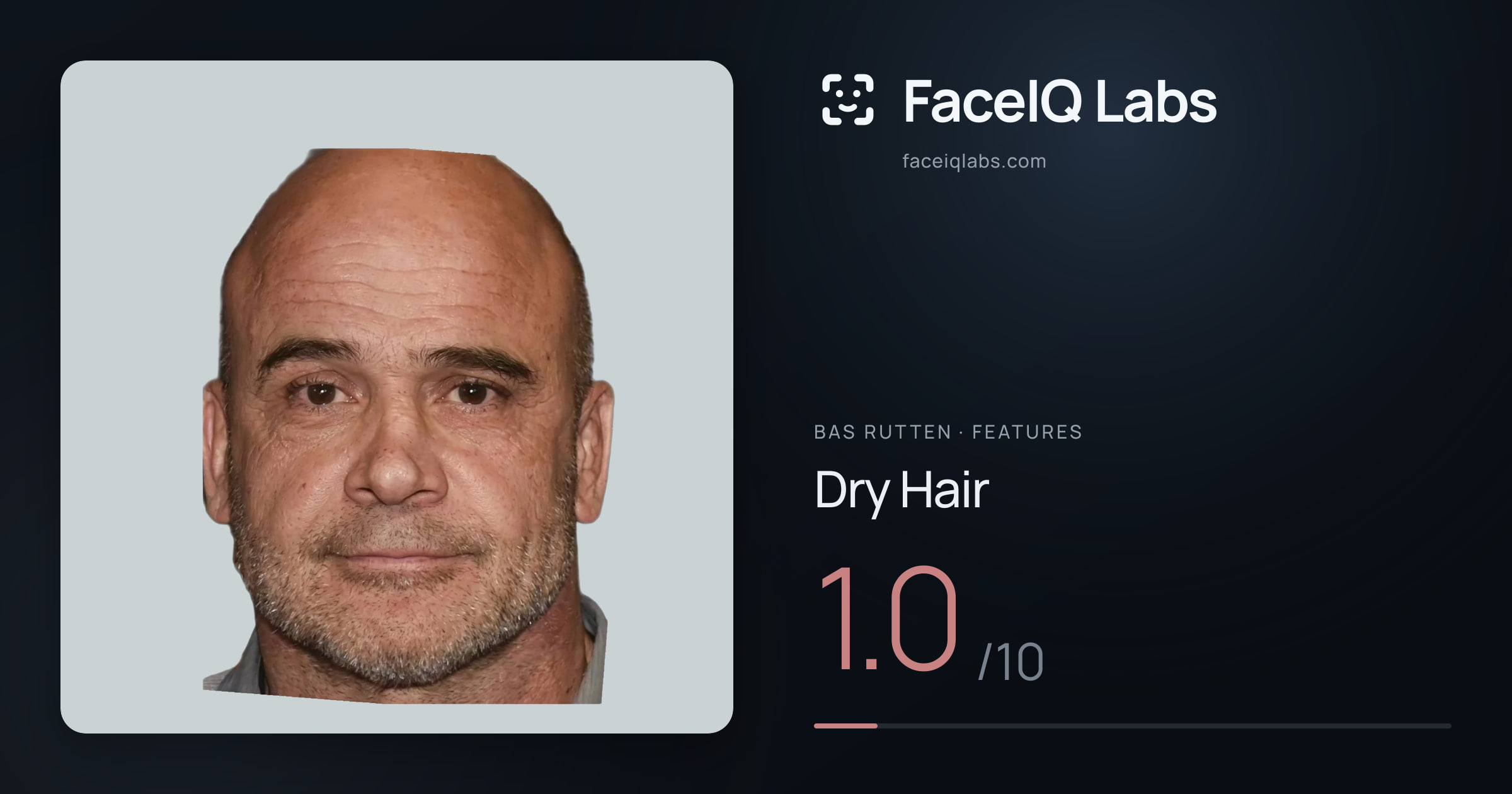 Bas Rutten Dry Hair: 1.0/10, drawn on the photo